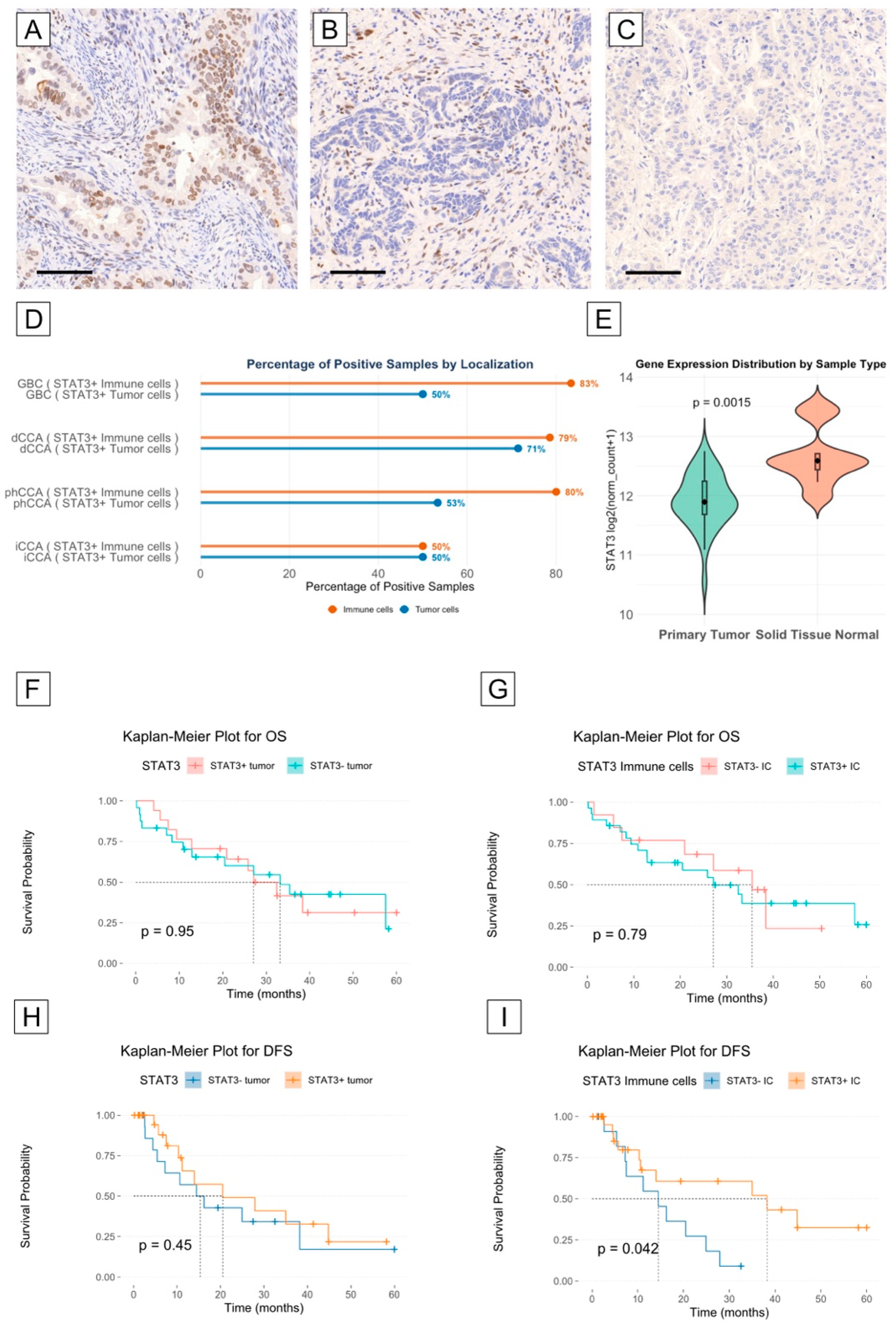 Biomedicines 13 01083 g004