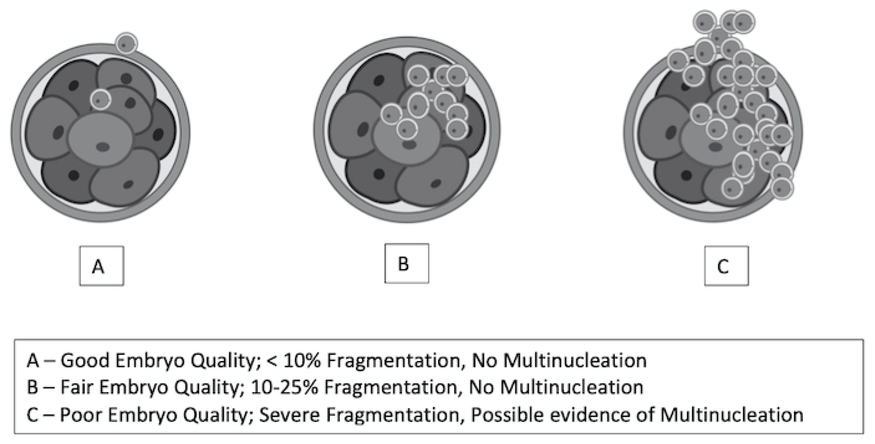 Biomedicines 13 01084 g003