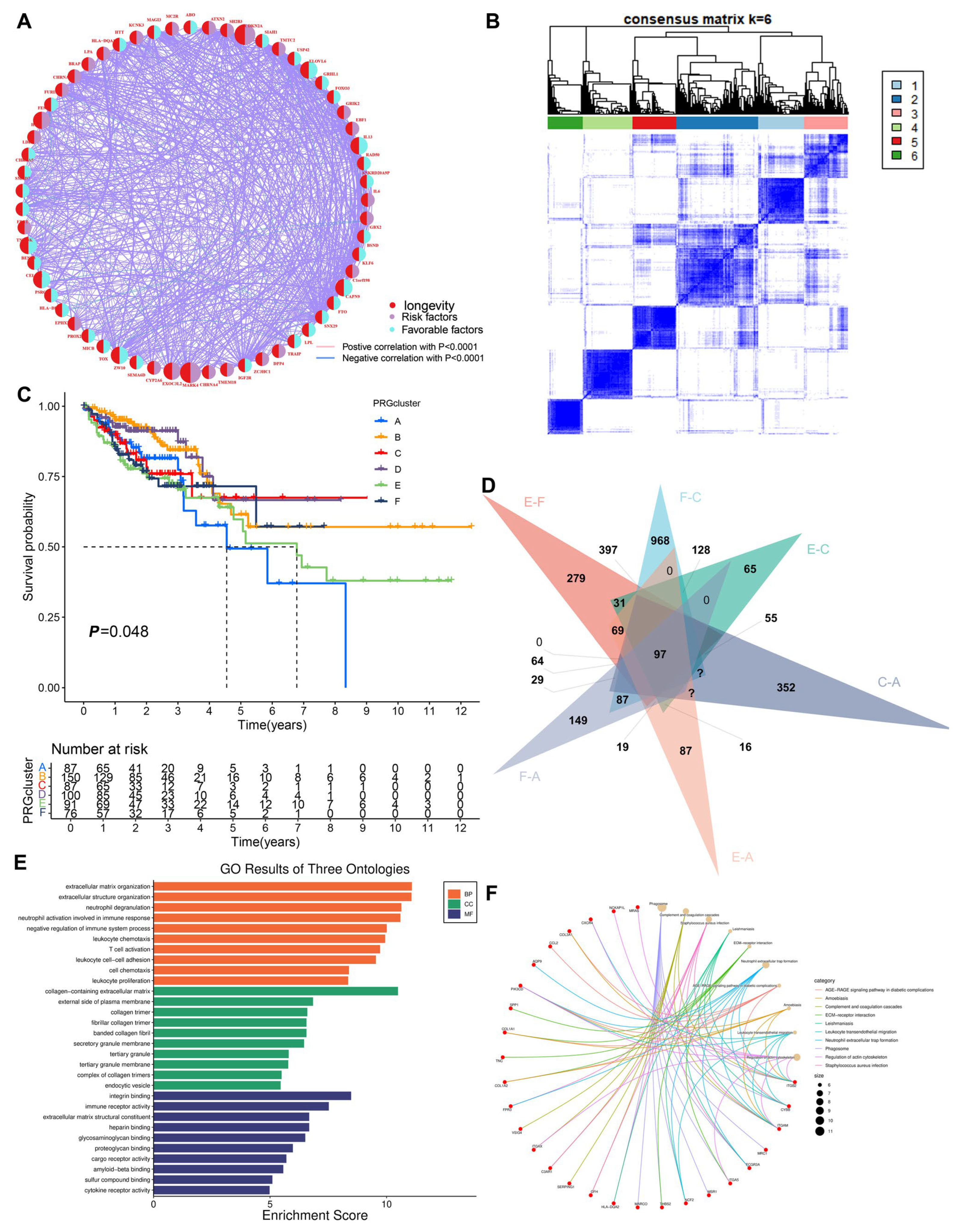 Biomedicines 13 01085 g002
