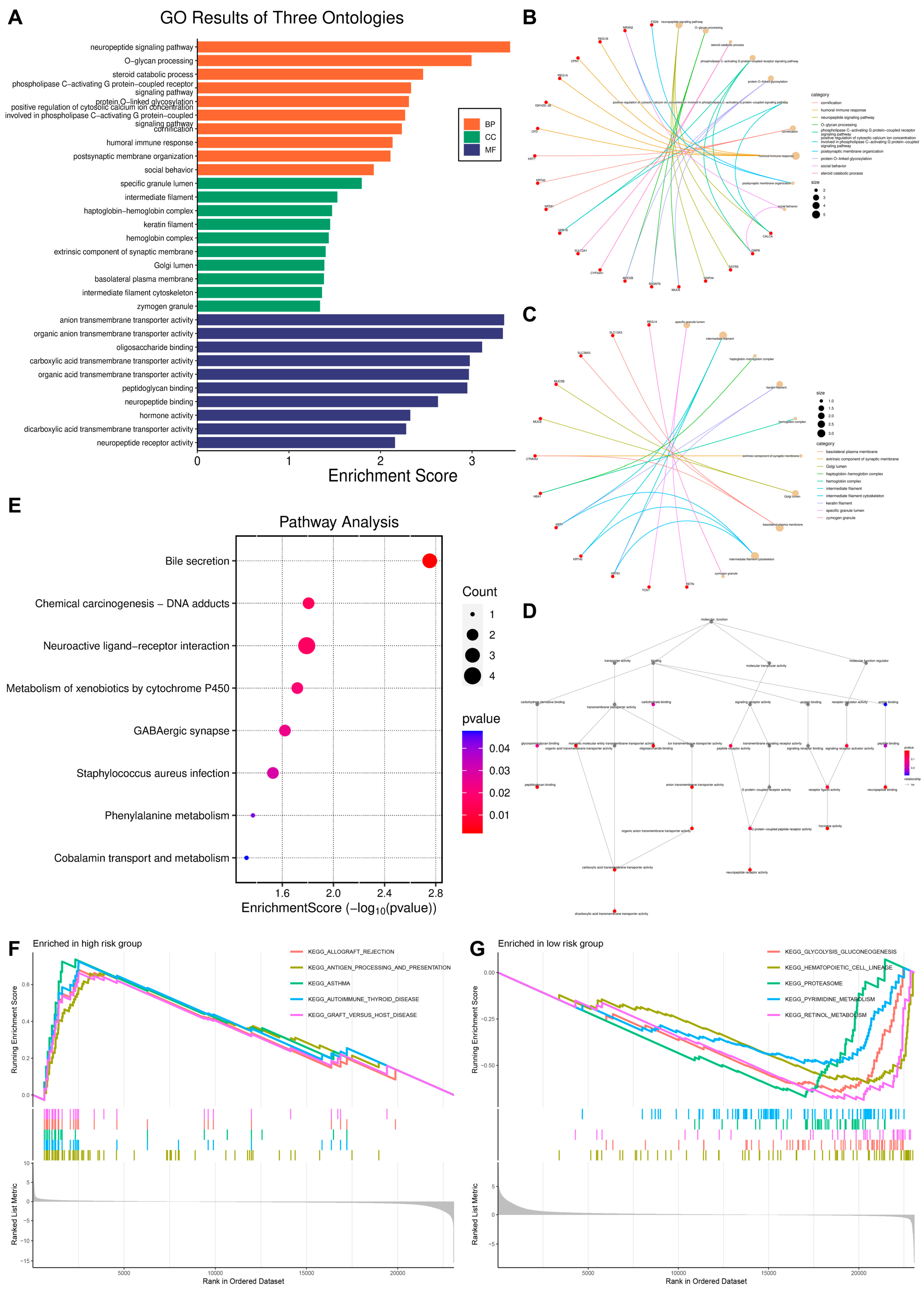 Biomedicines 13 01088 g004