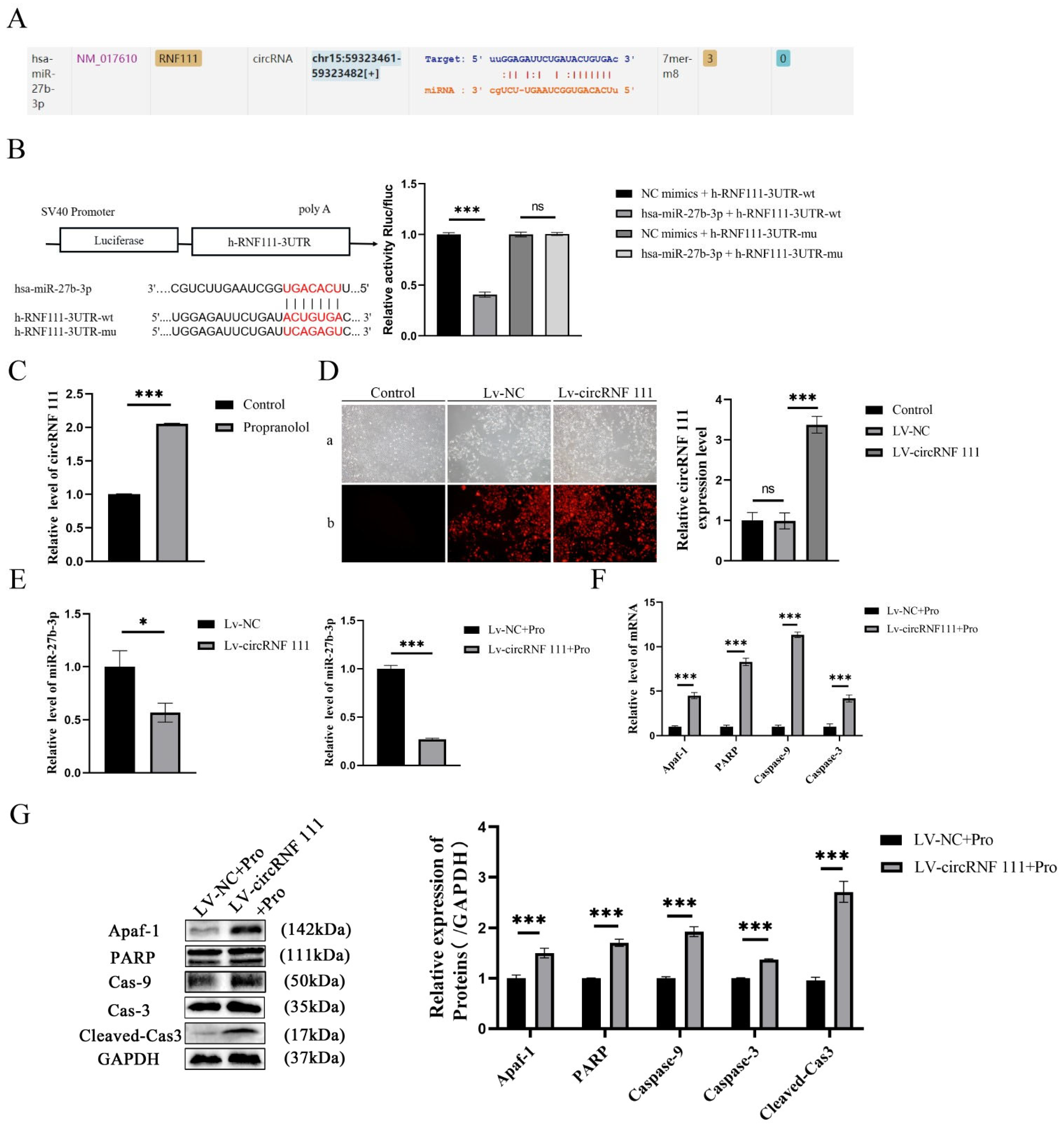 Biomedicines 13 01092 g004