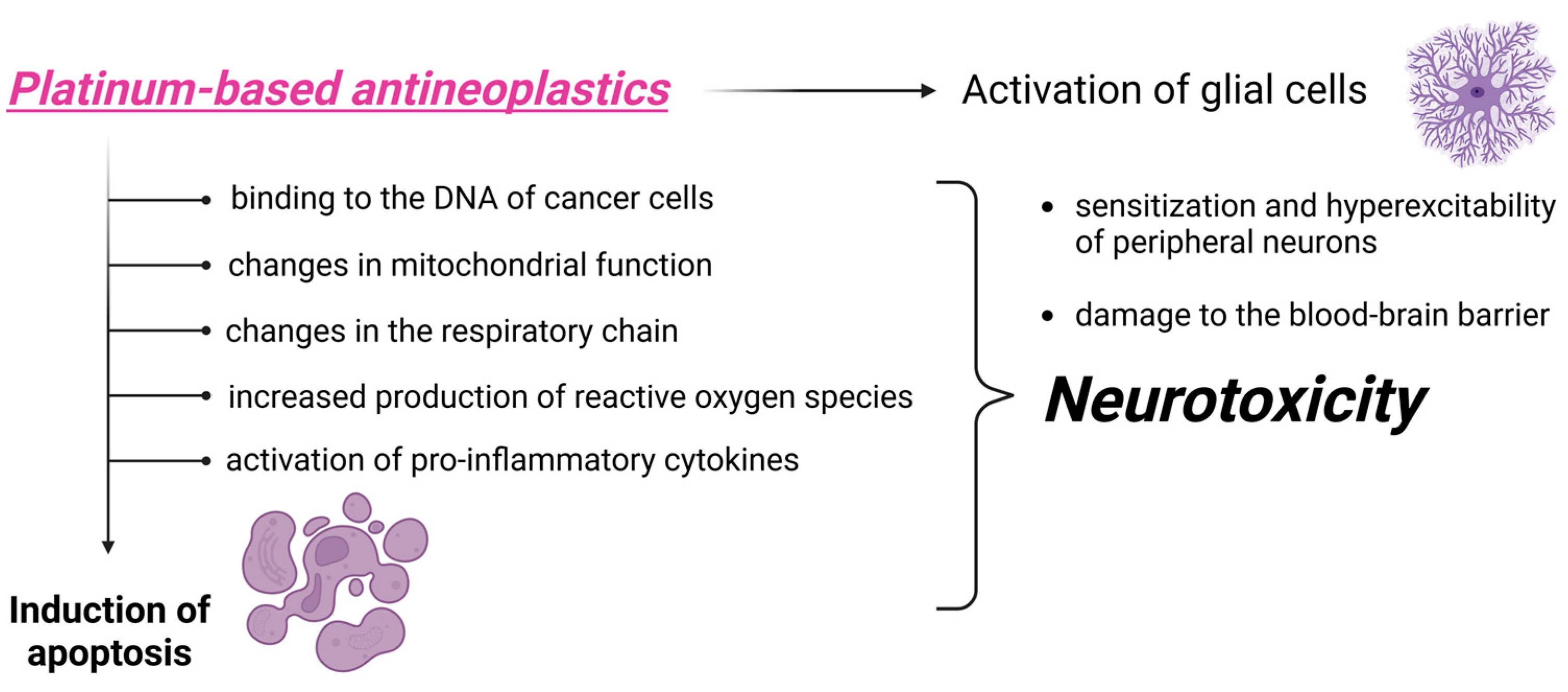 Biomedicines 13 01103 g001 Biomedicines 13 01103 g001