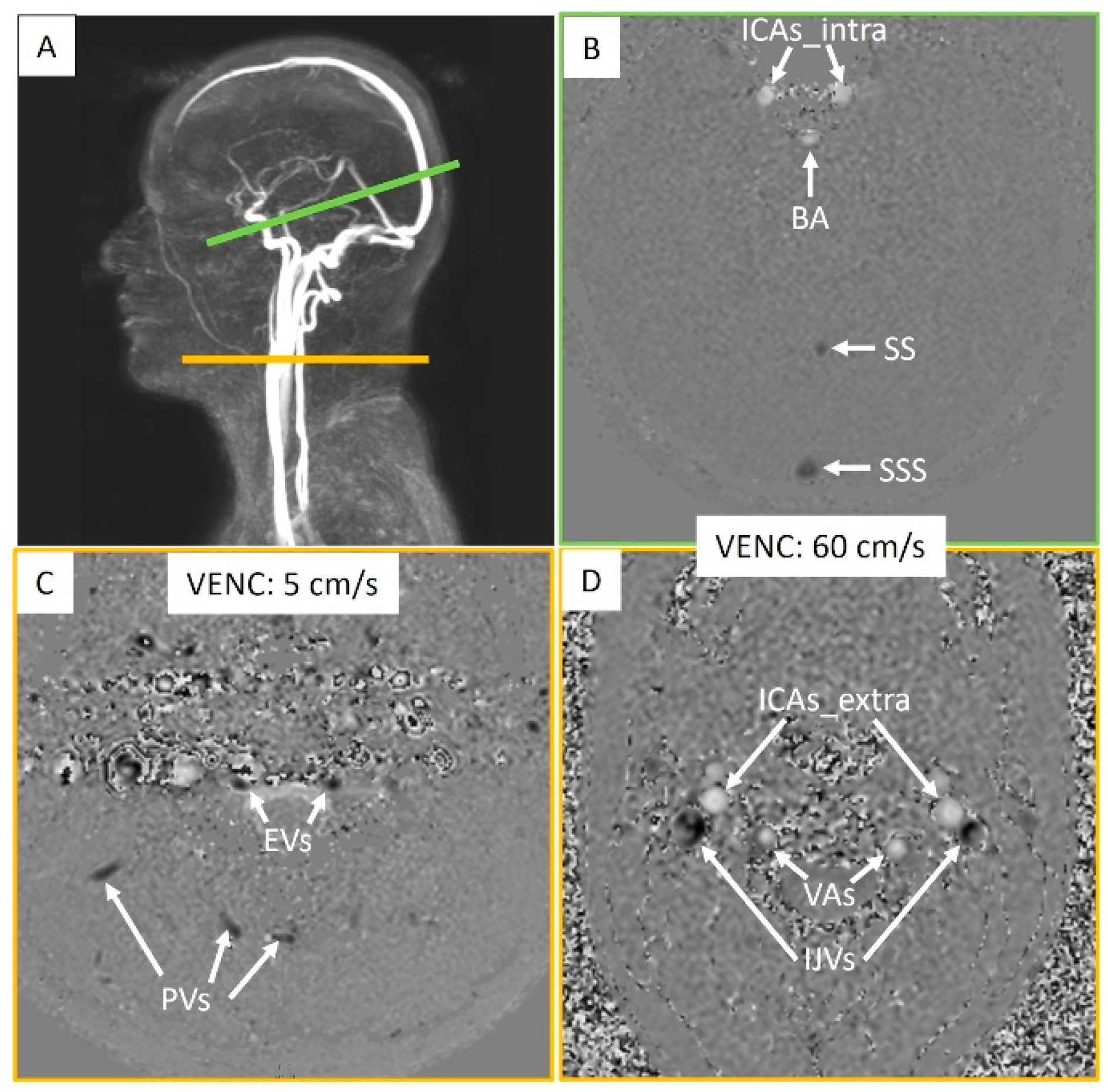 Biomedicines 13 01106 g003