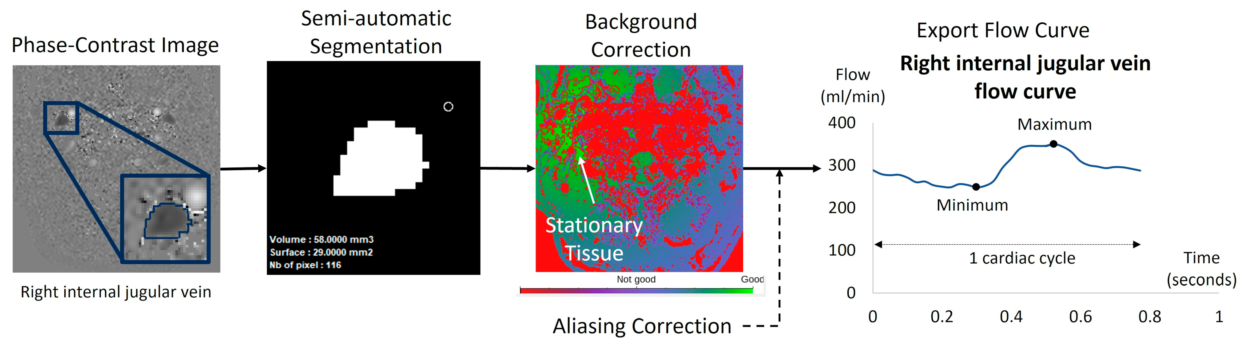 Biomedicines 13 01106 g004