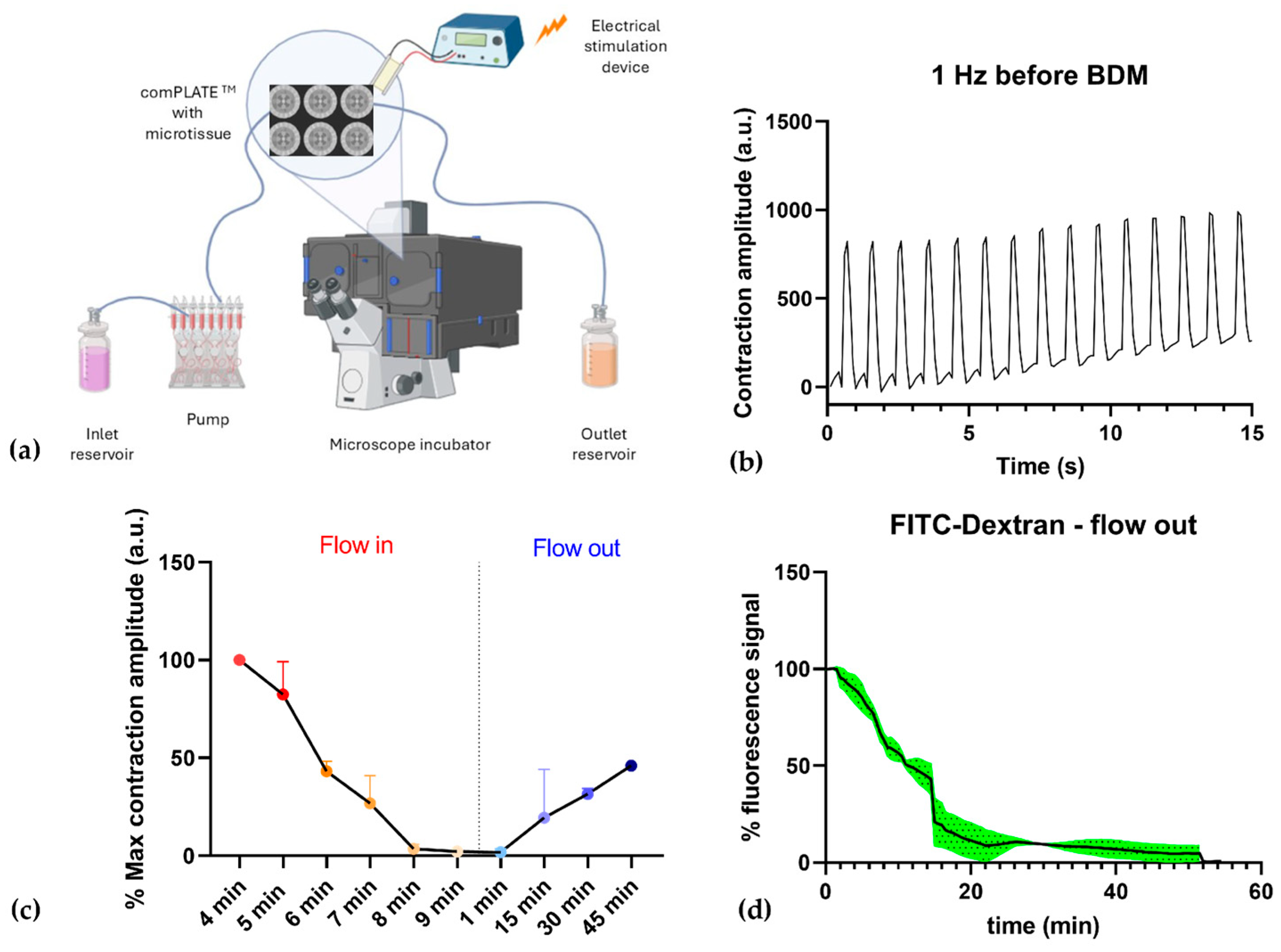 Biomedicines 13 01109 g007