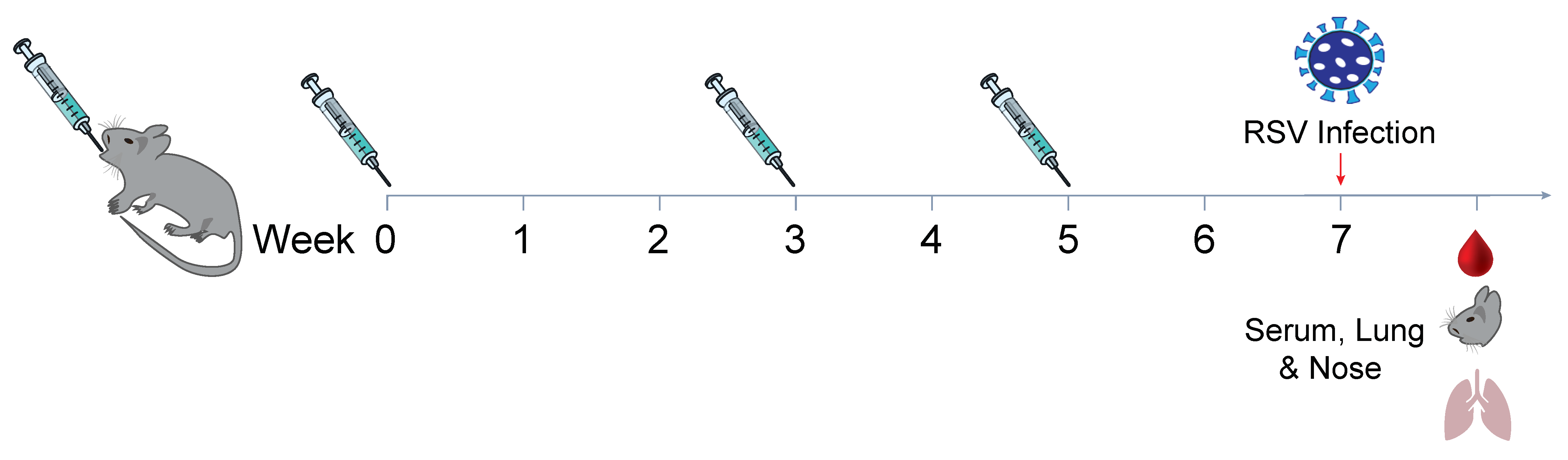 Biomedicines 13 01112 g007
