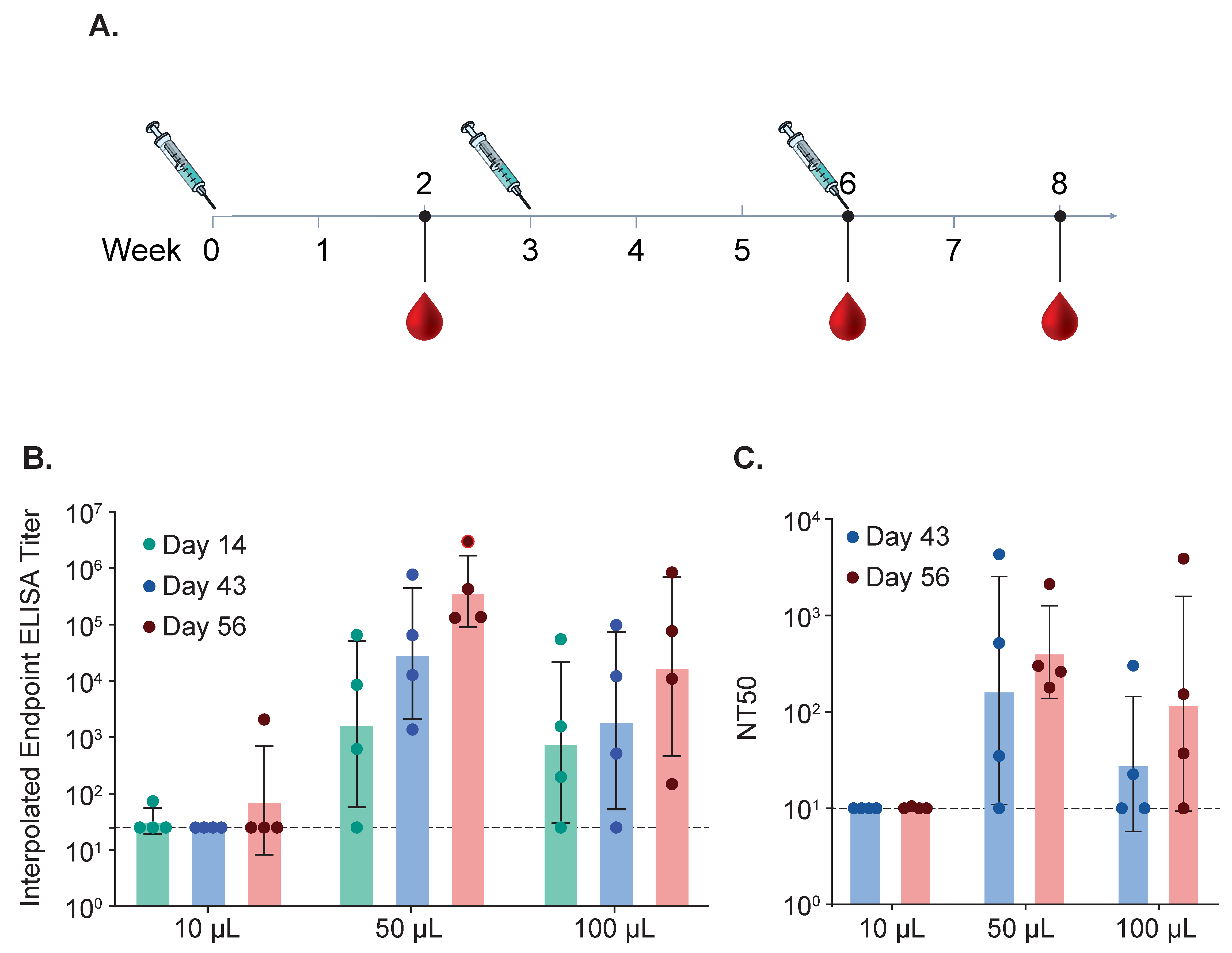 Biomedicines 13 01112 g008