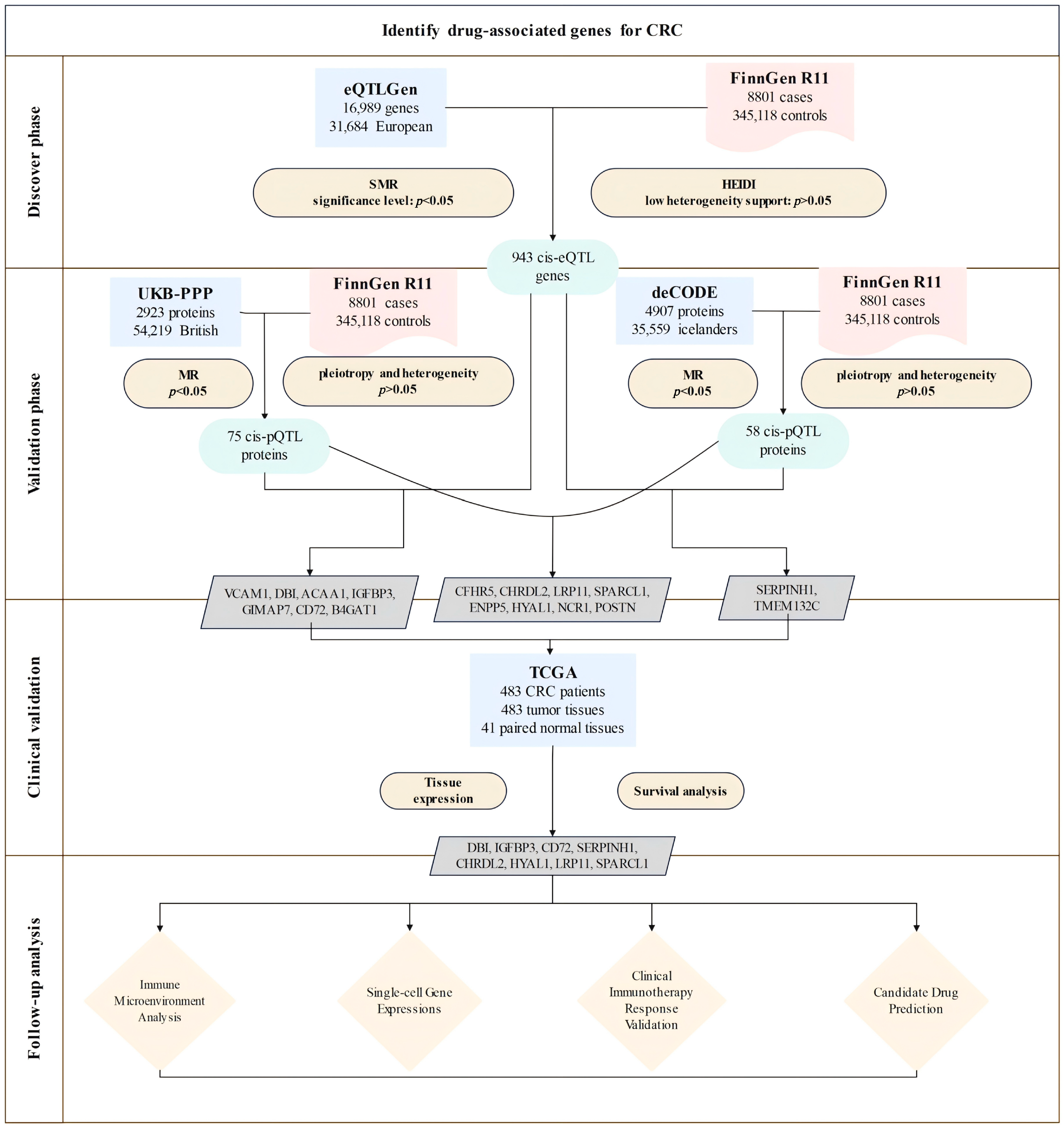Biomedicines 13 01115 g001