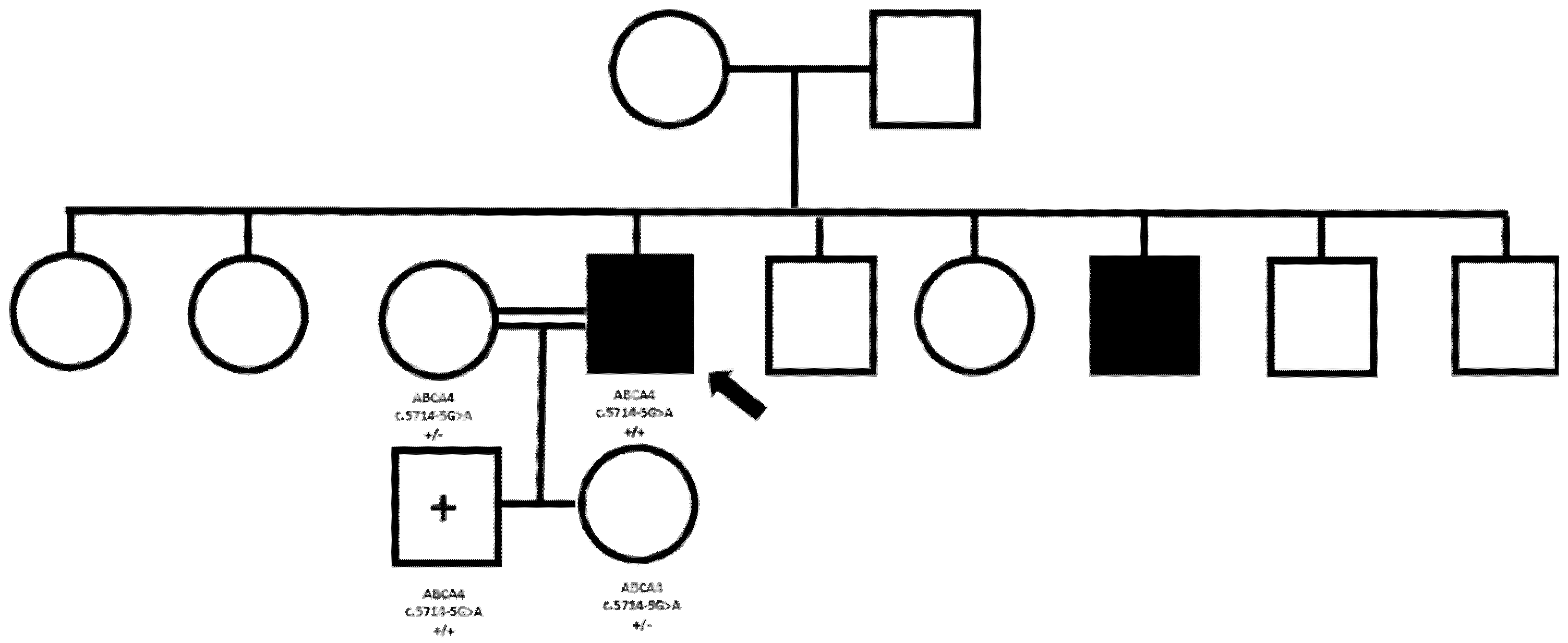 Biomedicines 13 01117 g002