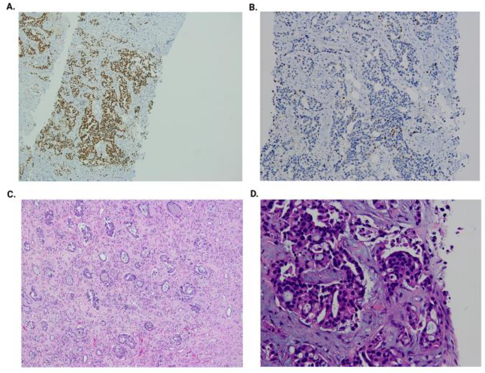 Biomedicines 13 01118 g004