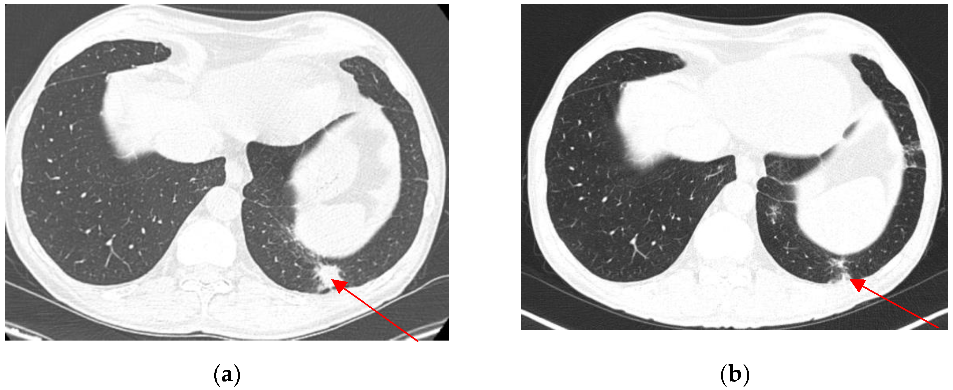 Biomedicines 13 01118 g006