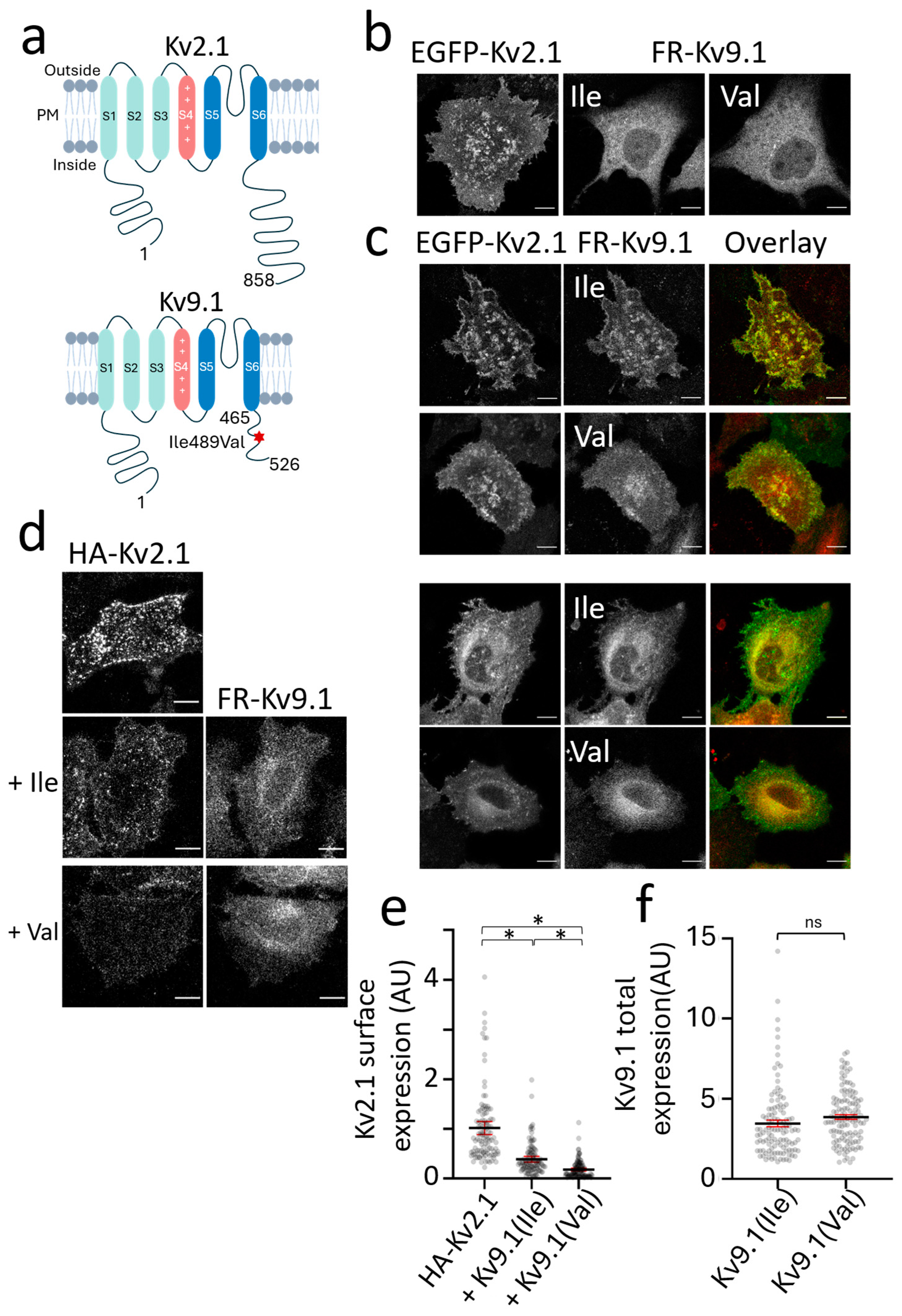 Biomedicines 13 01119 g001