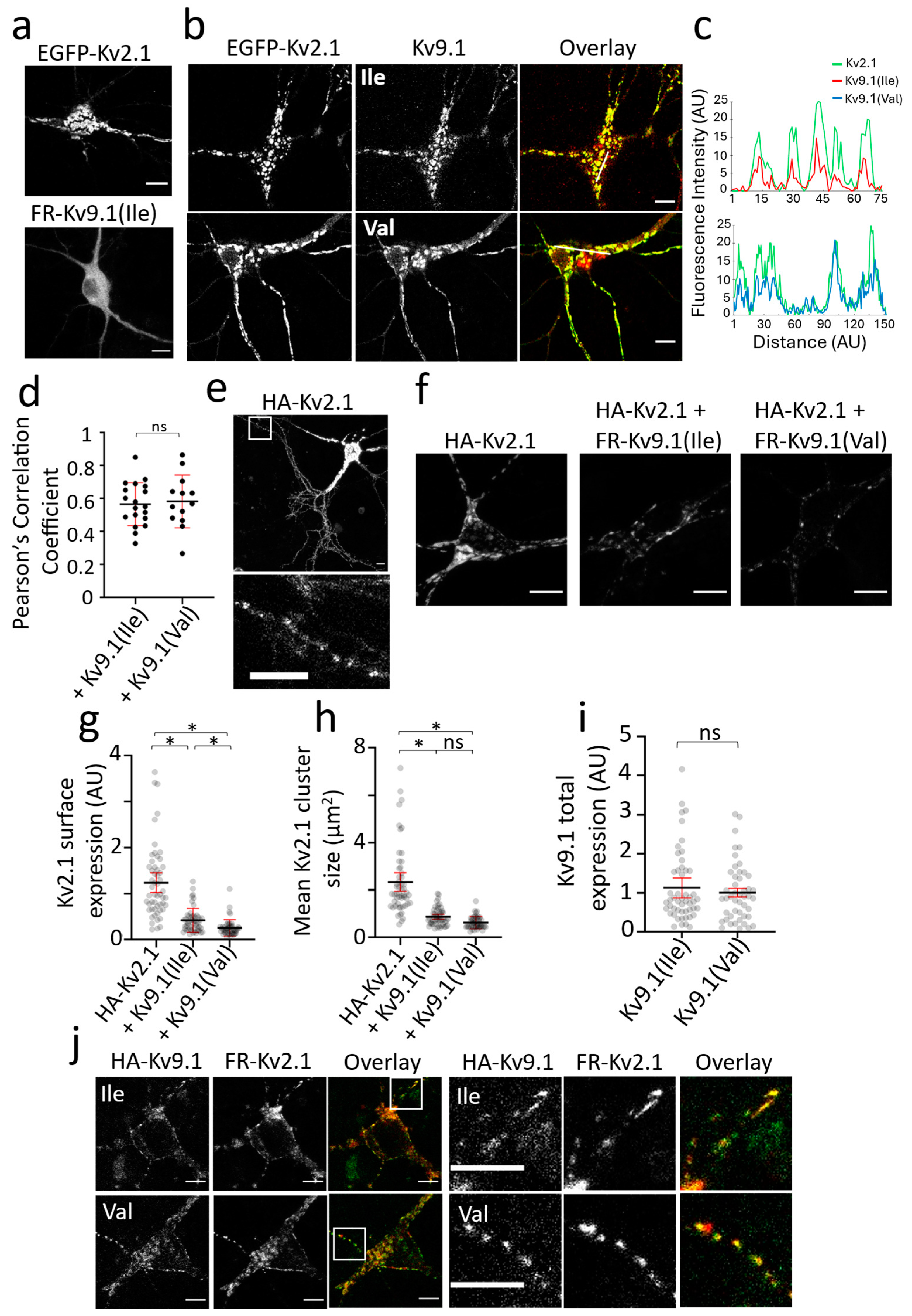 Biomedicines 13 01119 g002