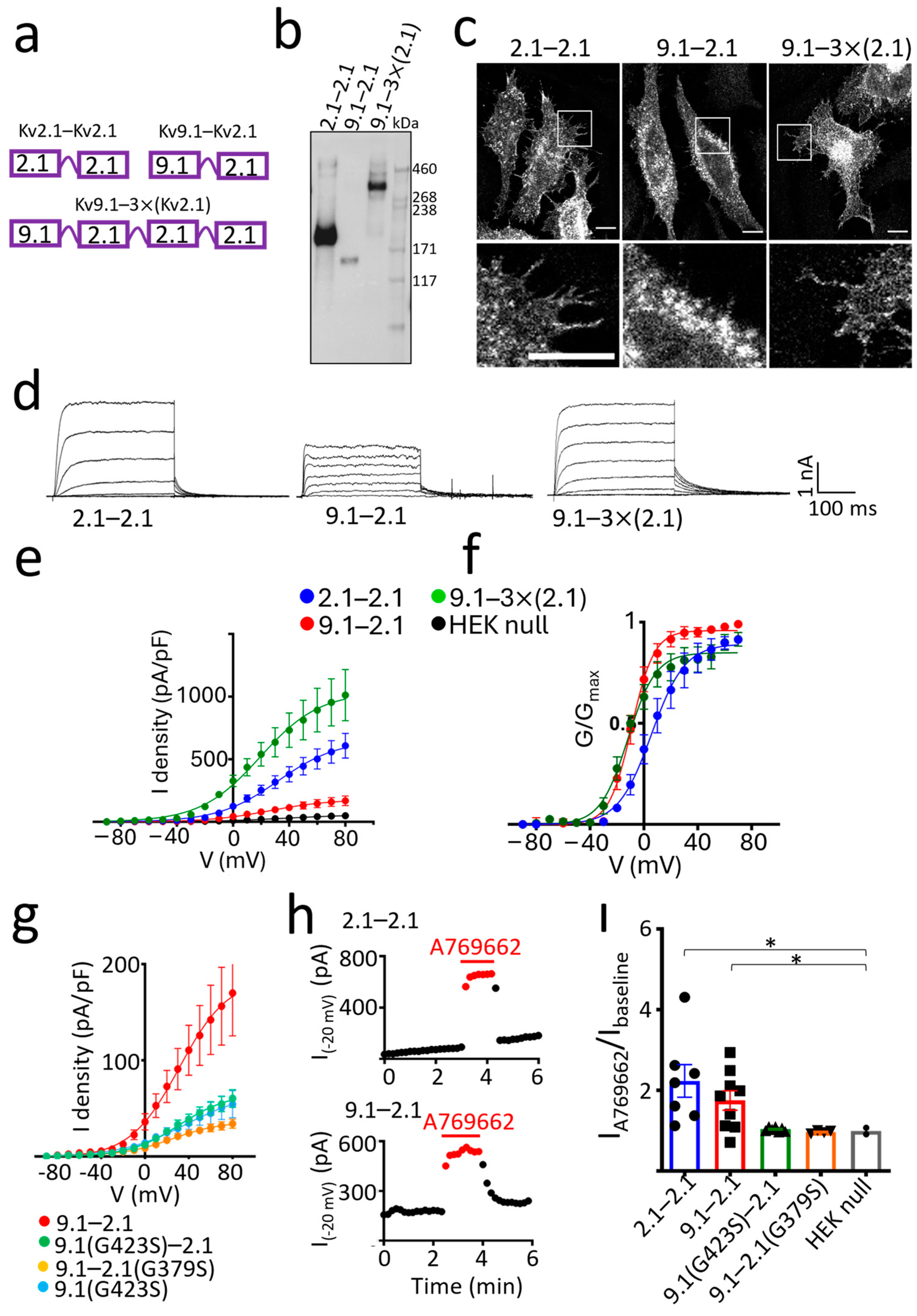 Biomedicines 13 01119 g004