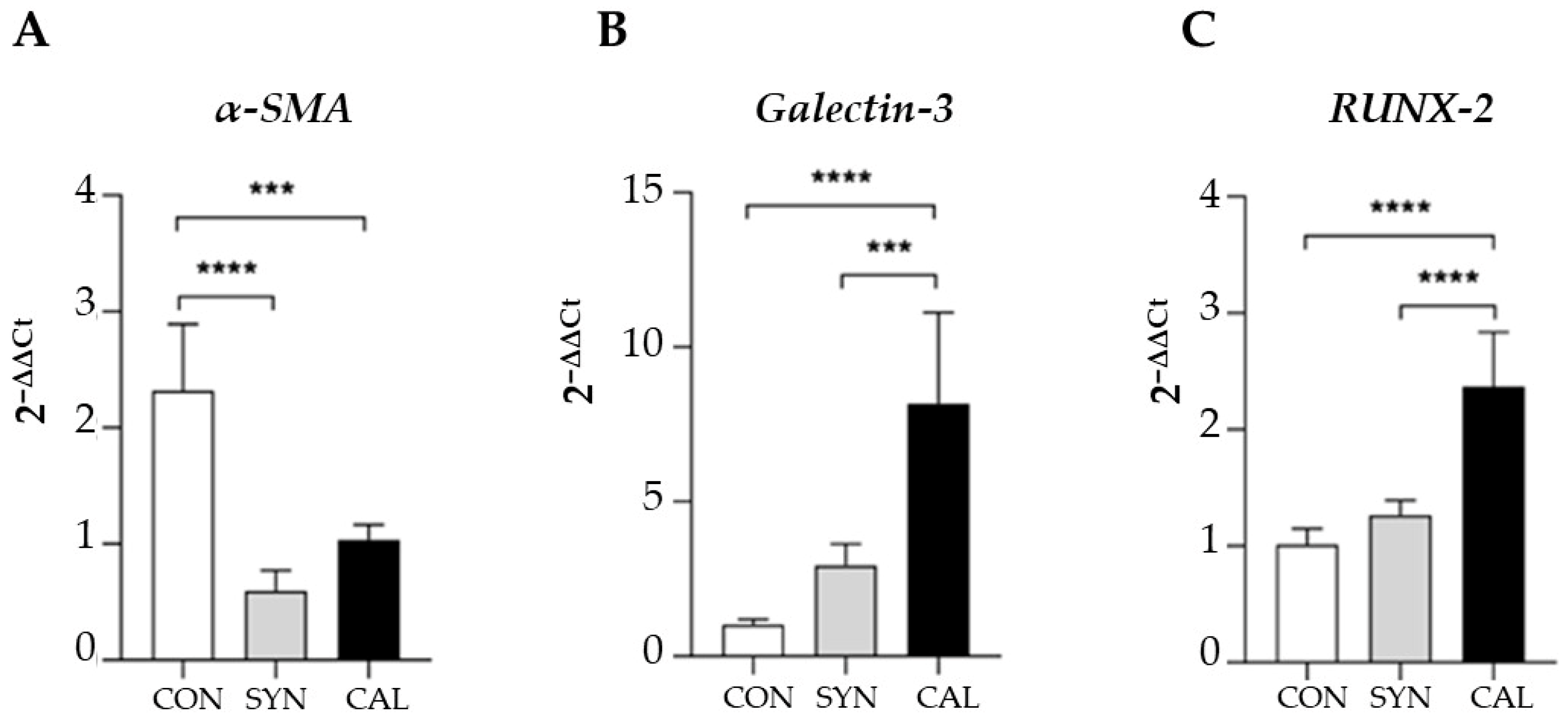 Biomedicines 13 01127 g007