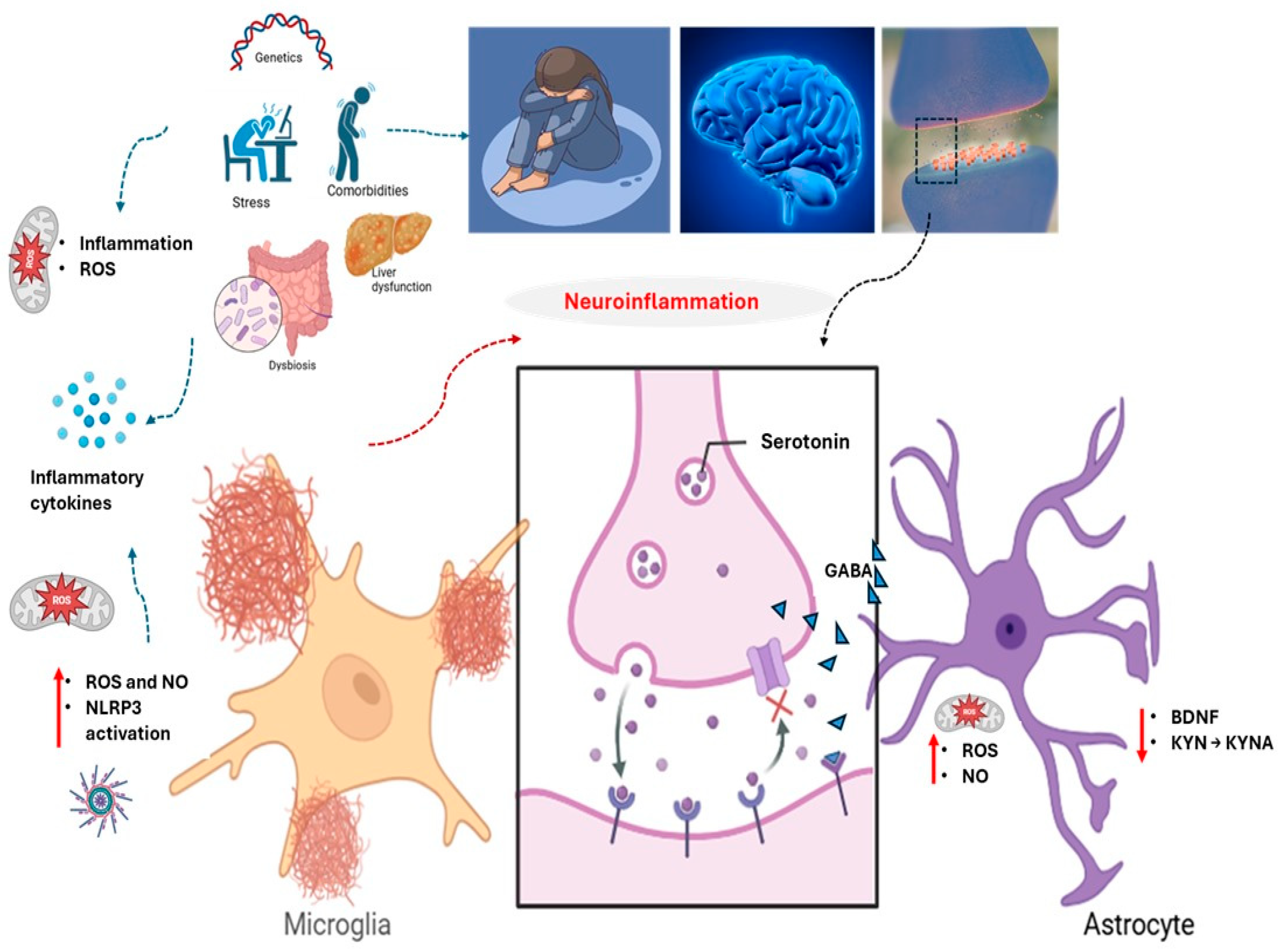 Biomedicines 13 01129 g001