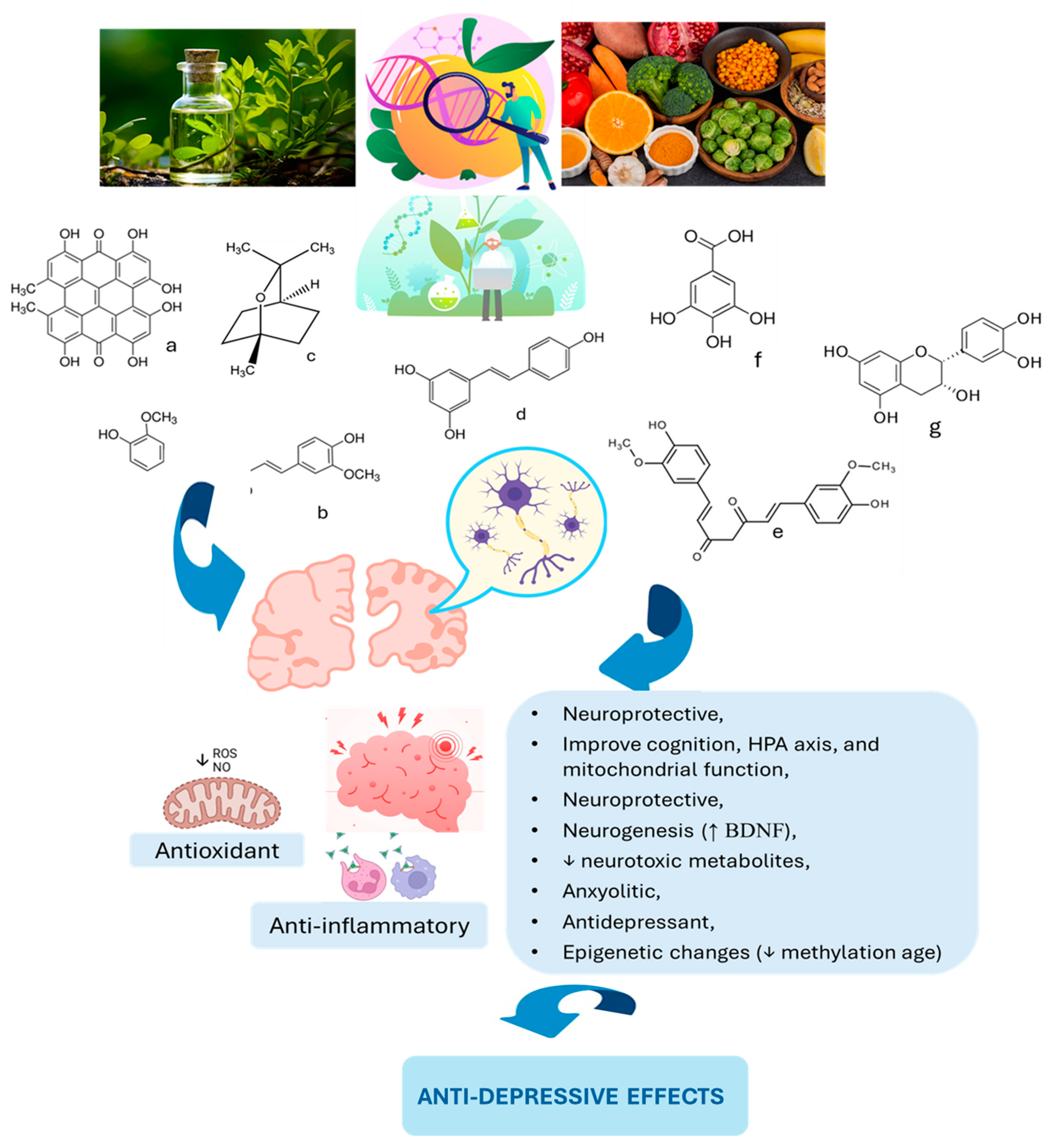 Biomedicines 13 01129 g002