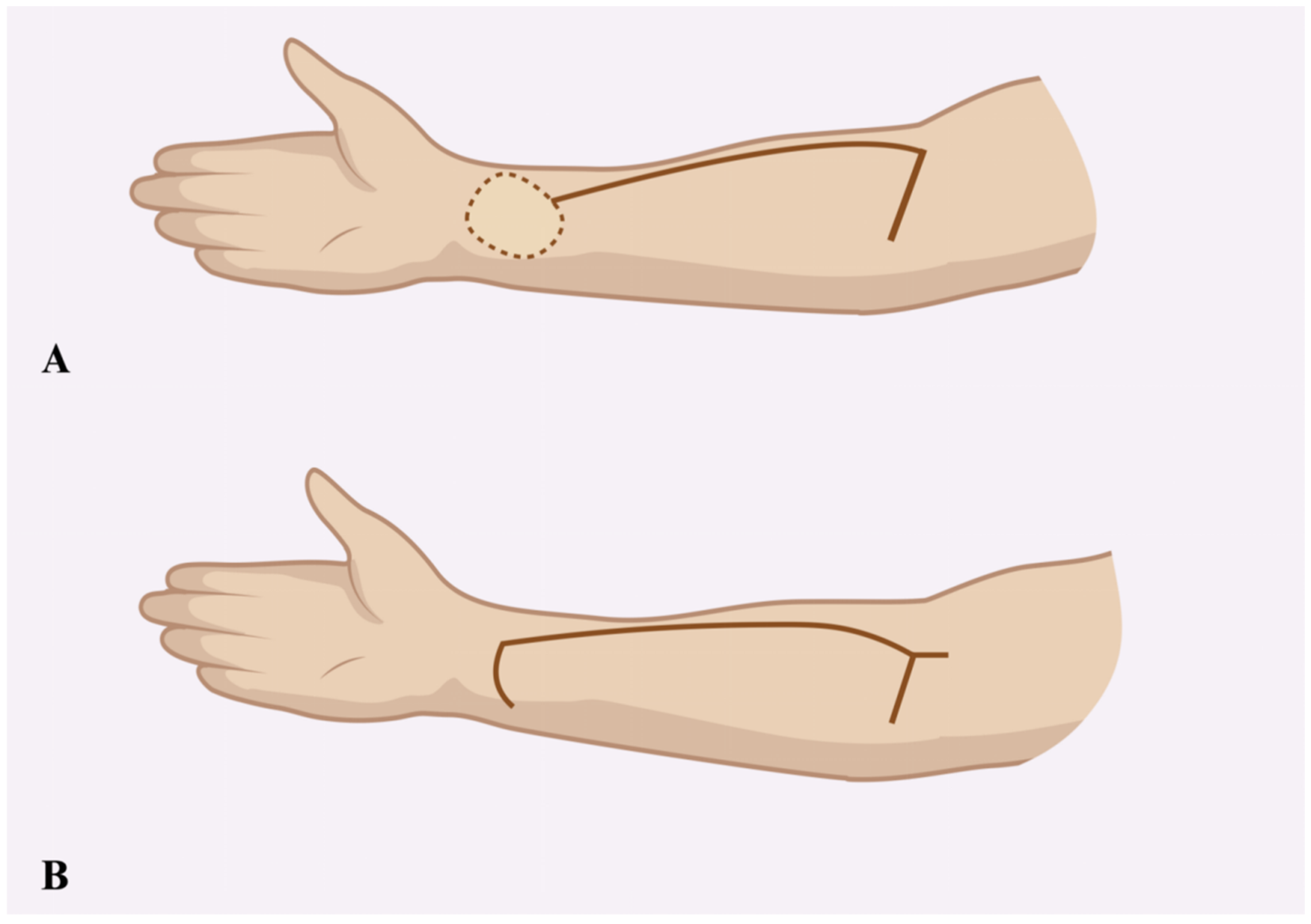 Biomedicines 13 01131 g002