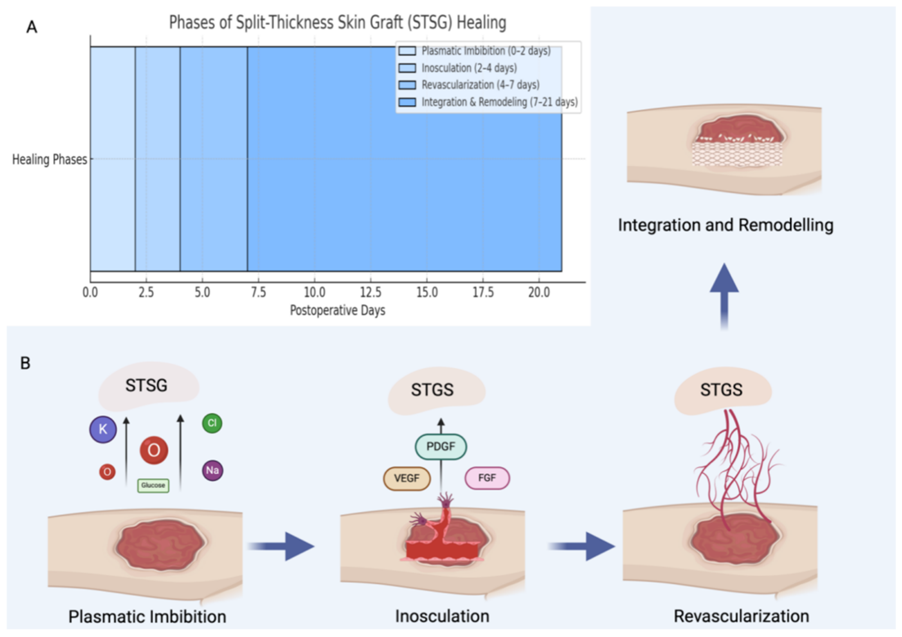 Biomedicines 13 01131 g007