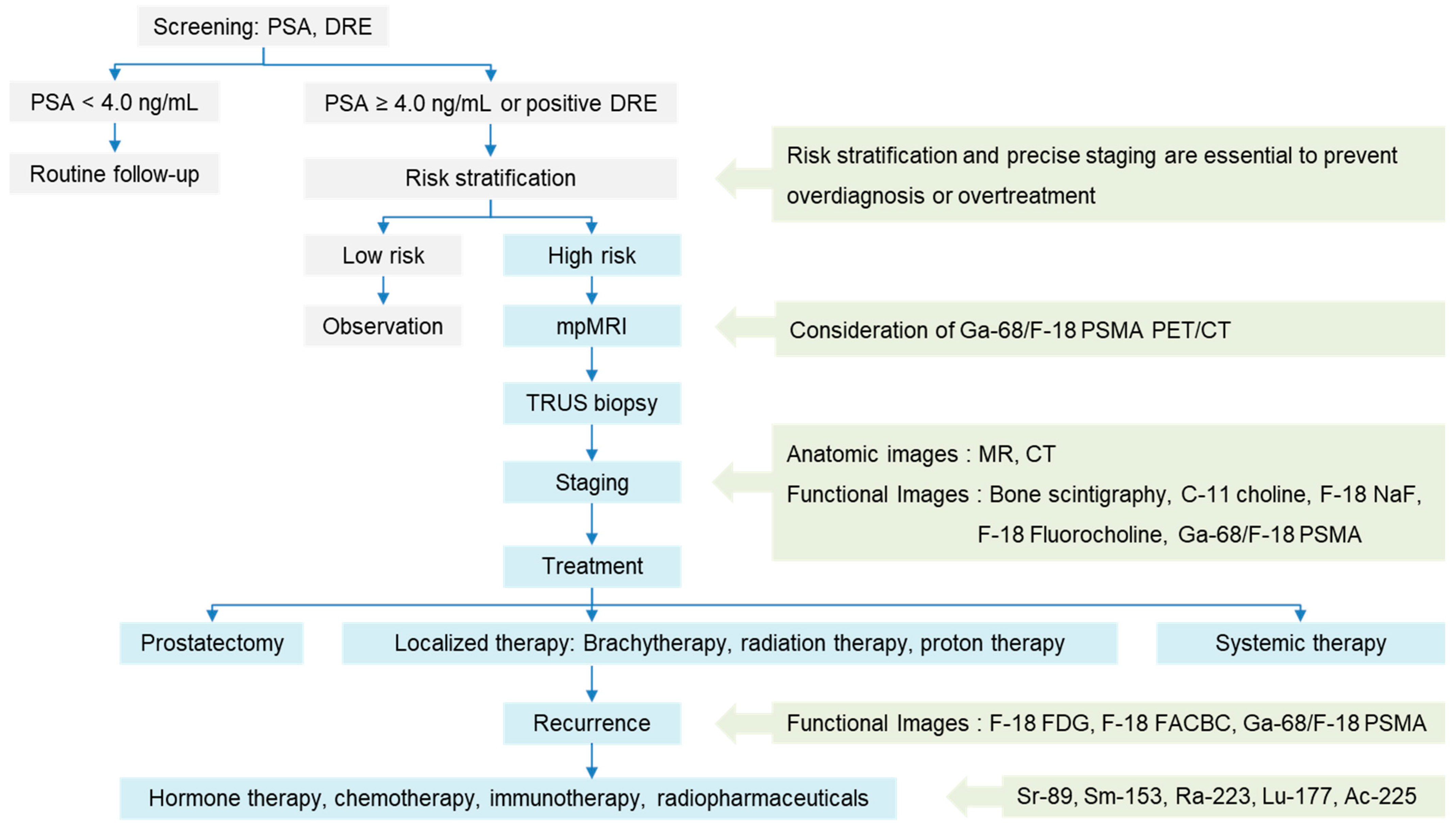 Biomedicines 13 01132 g001