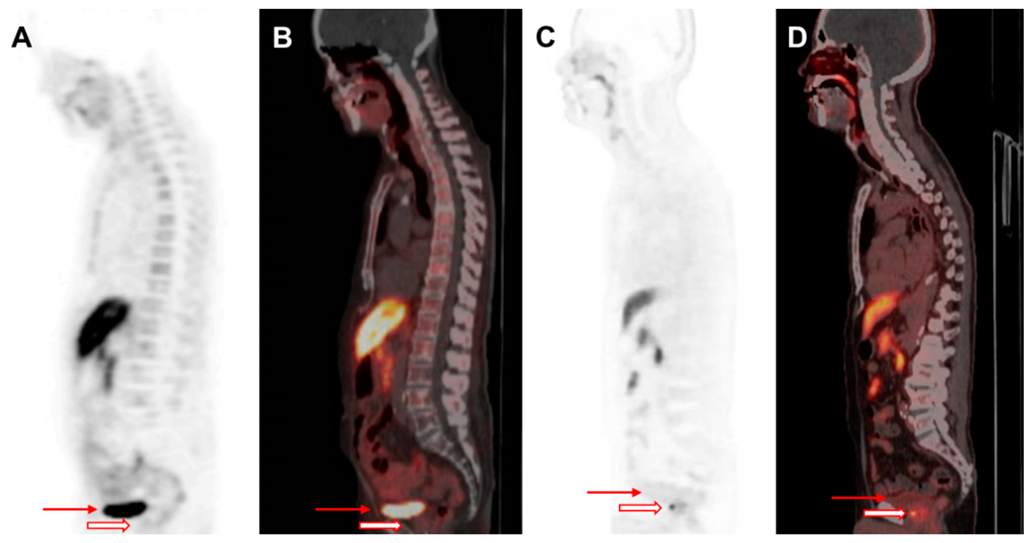 Biomedicines 13 01132 g002