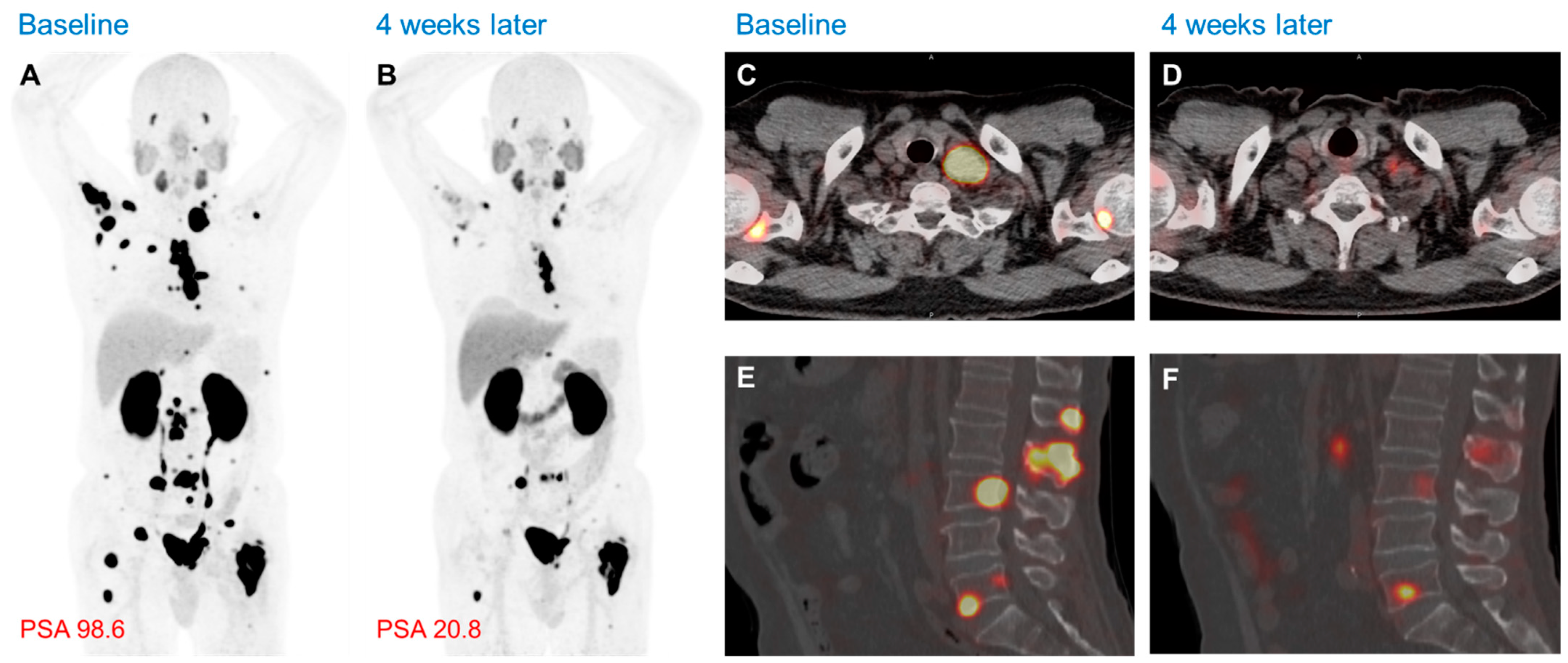 Biomedicines 13 01132 g004