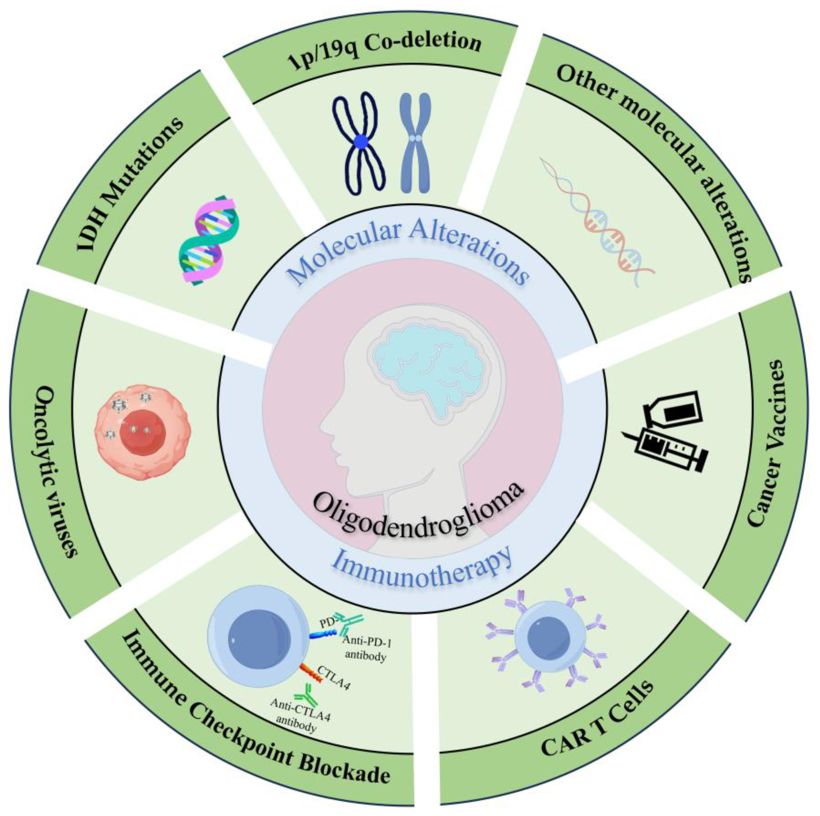 Biomedicines 13 01133 g001