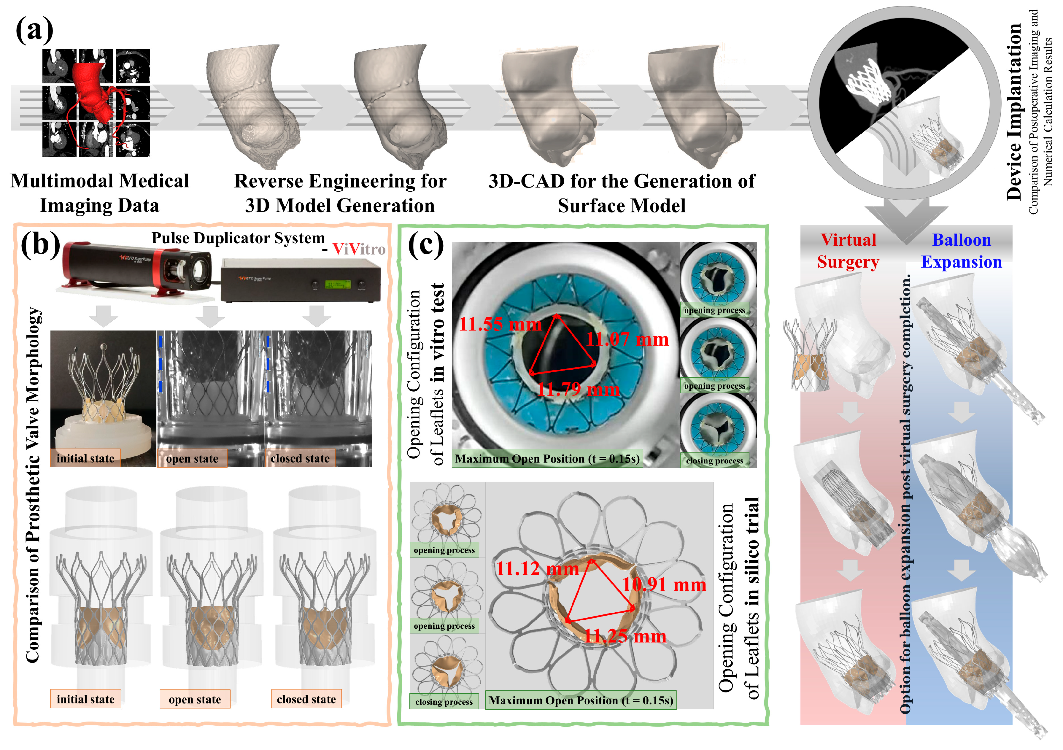 Biomedicines 13 01135 g001