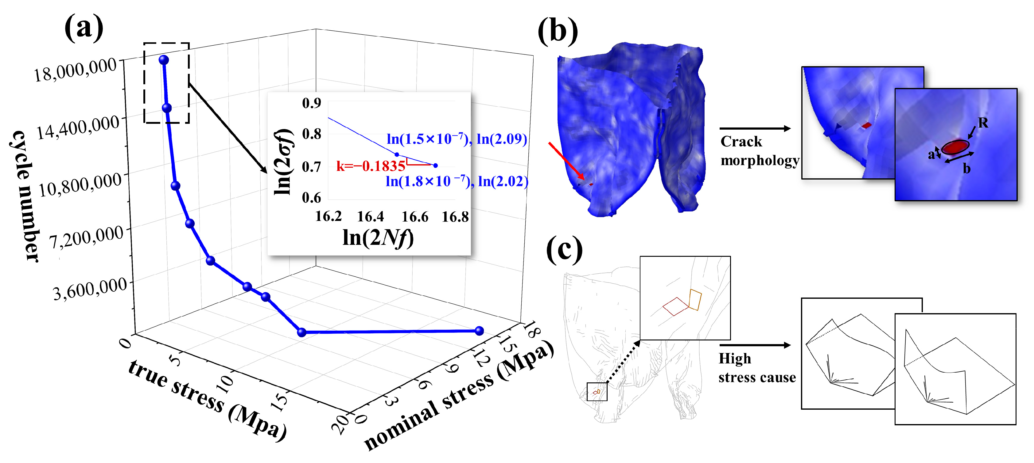 Biomedicines 13 01135 g004