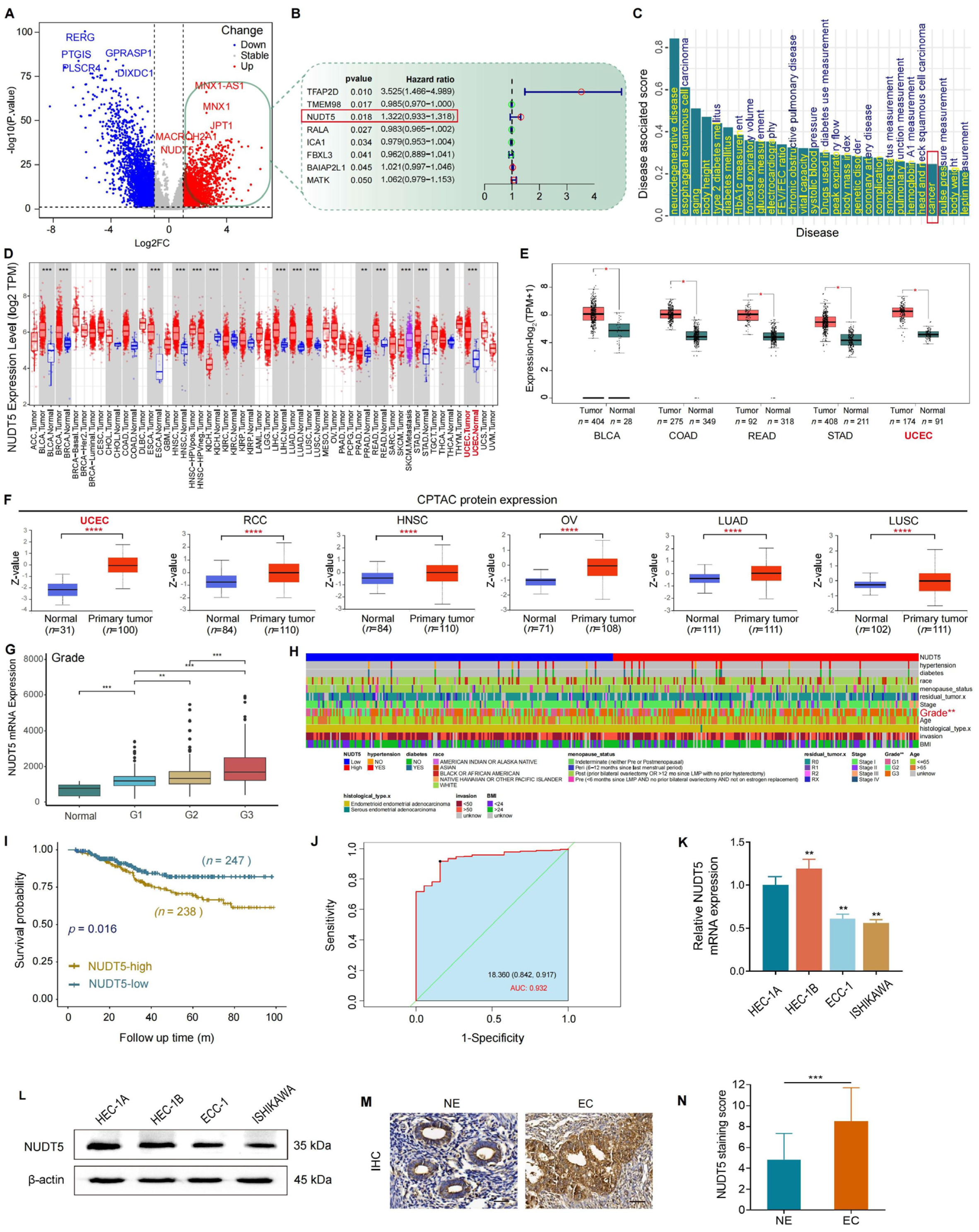 Biomedicines 13 01136 g001 Biomedicines 13 01136 g001
