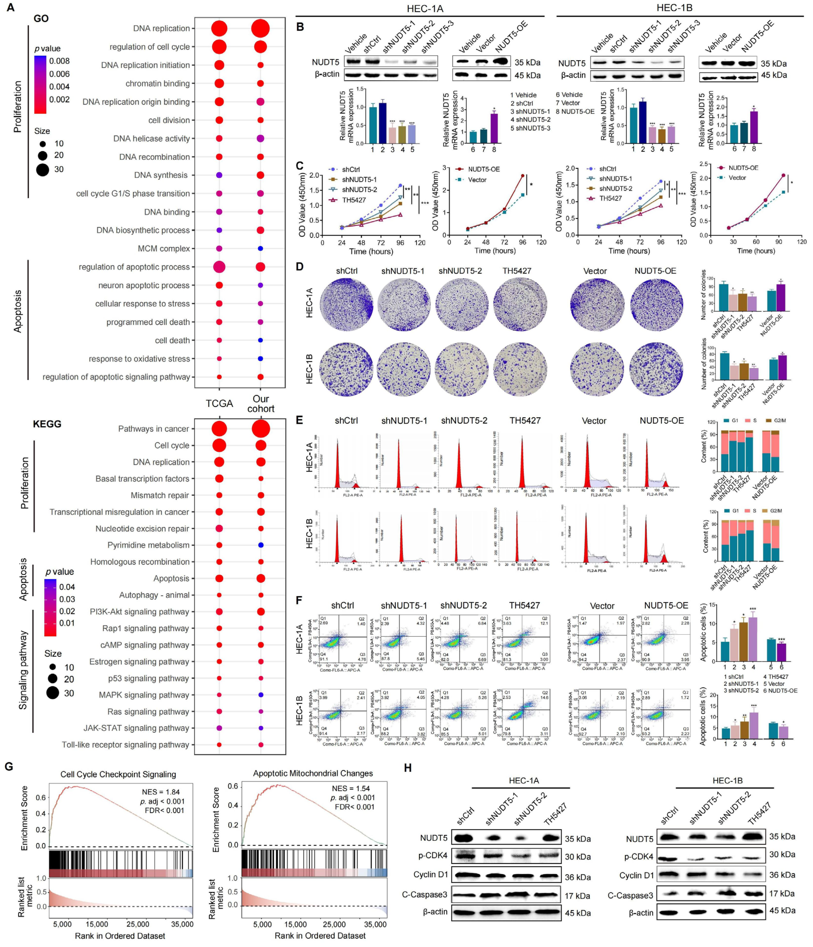Biomedicines 13 01136 g002 Biomedicines 13 01136 g002