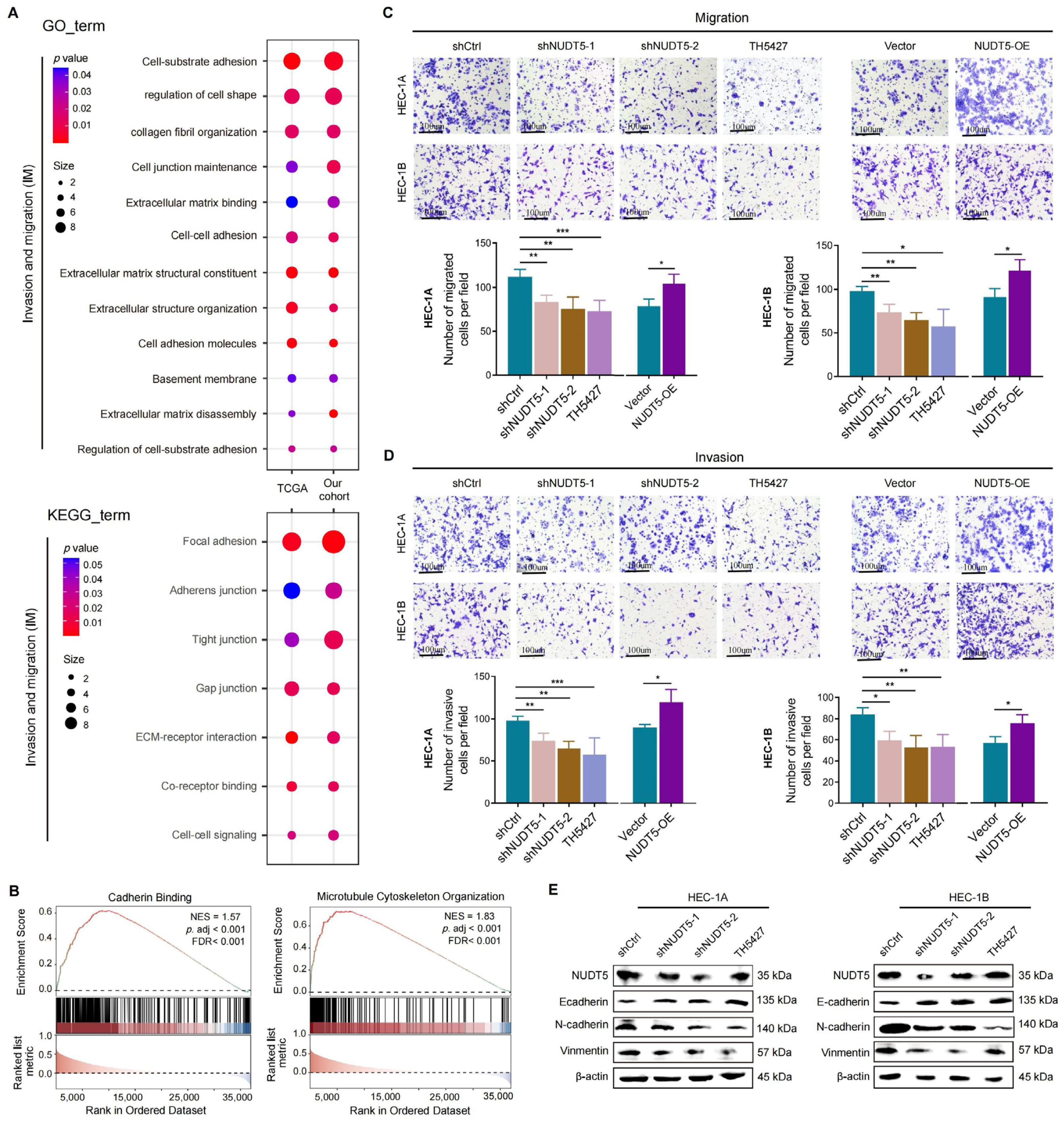 Biomedicines 13 01136 g003 Biomedicines 13 01136 g003