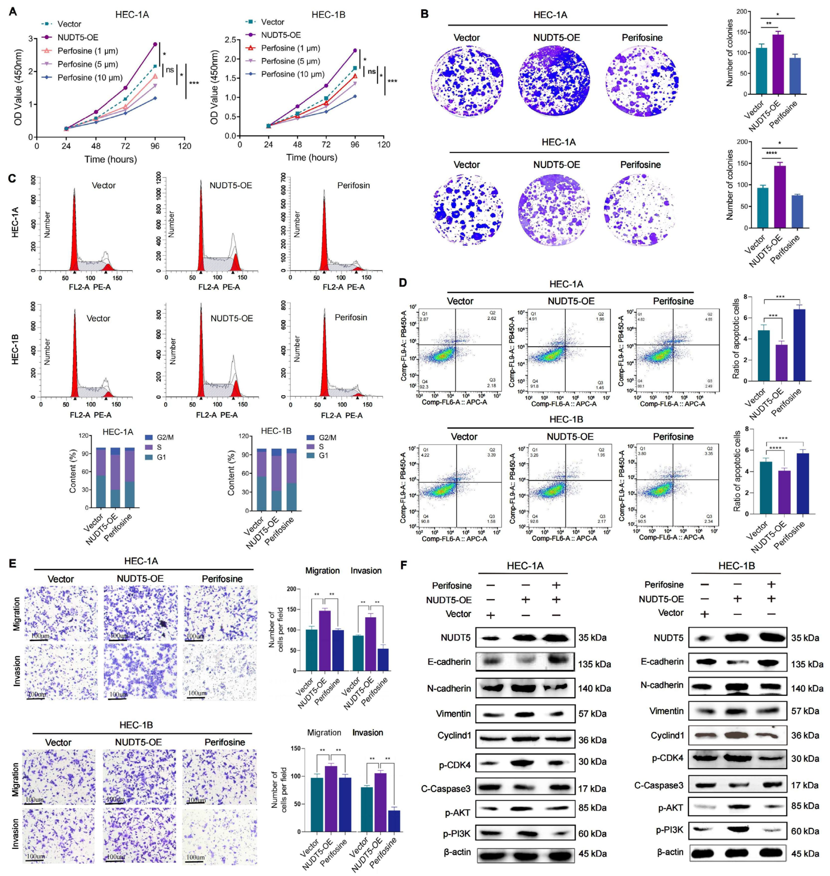 Biomedicines 13 01136 g006 Biomedicines 13 01136 g006