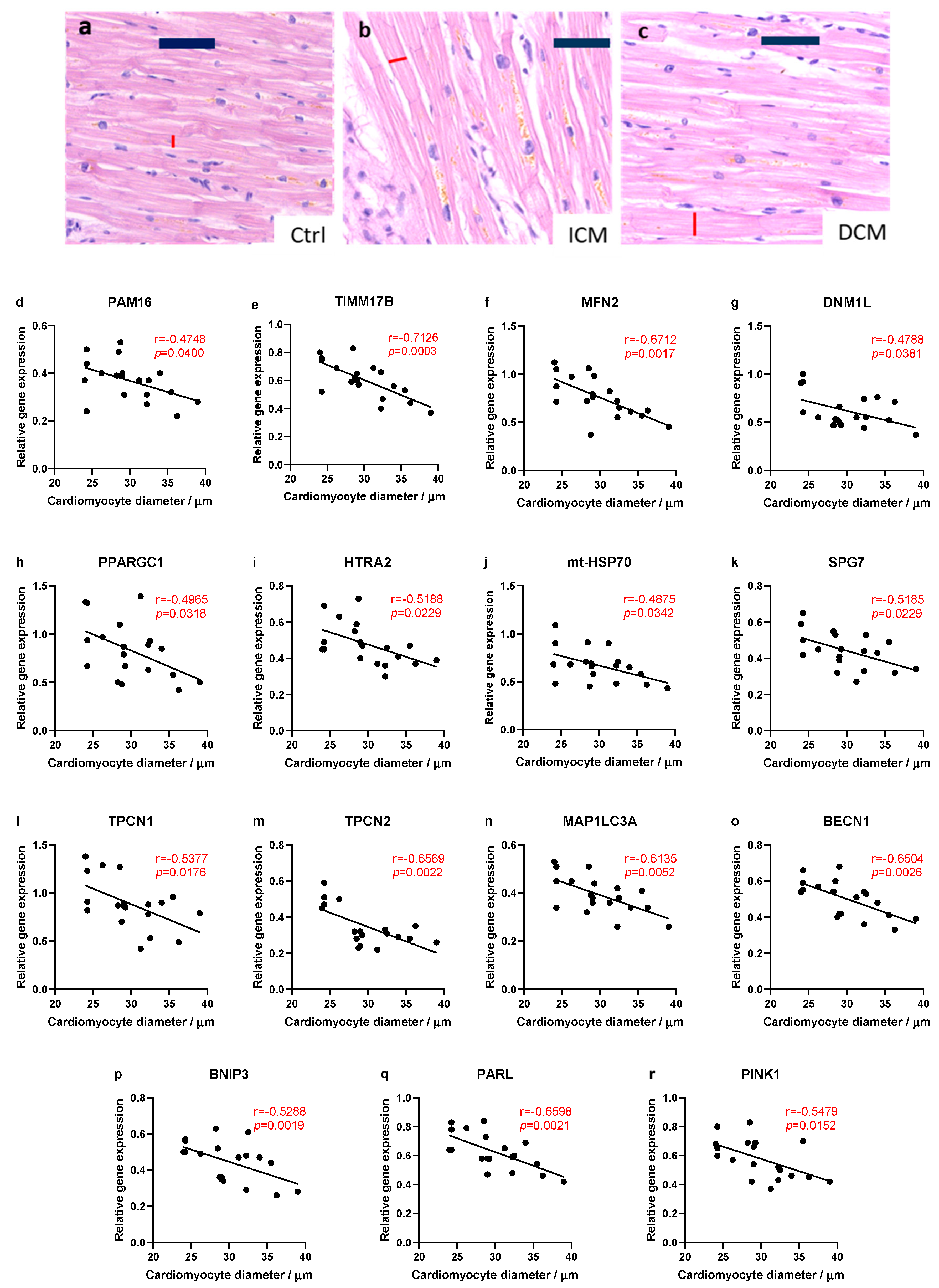 Biomedicines 13 01142 g003