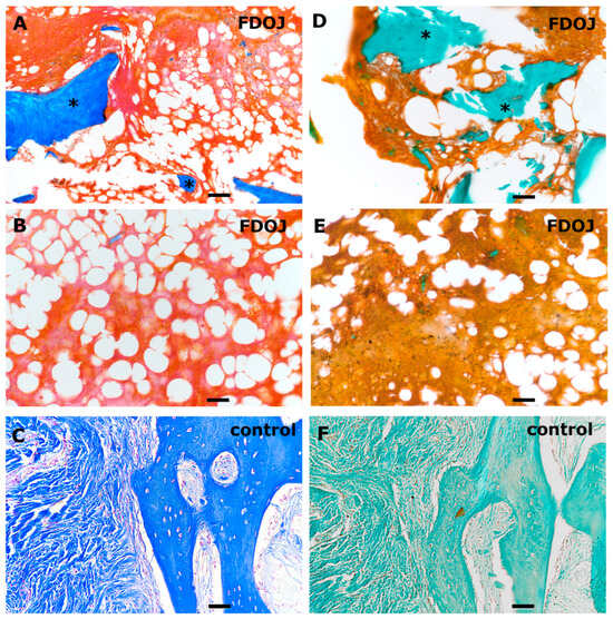 Biomedicines 13 01144 g001
