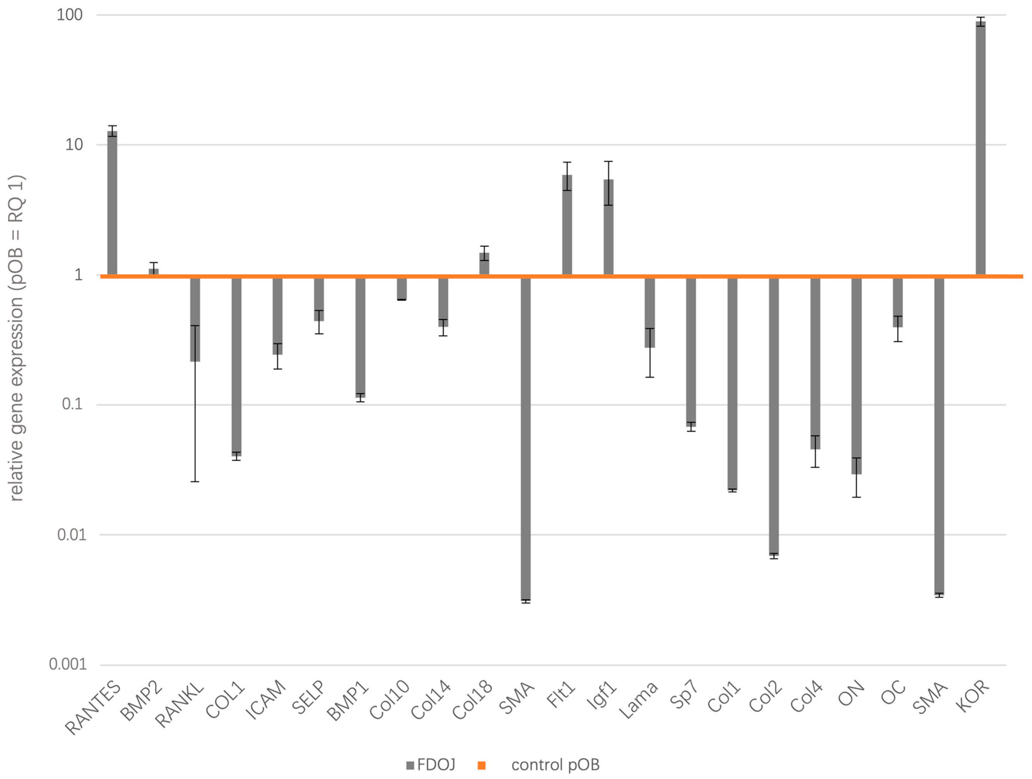Biomedicines 13 01144 g002