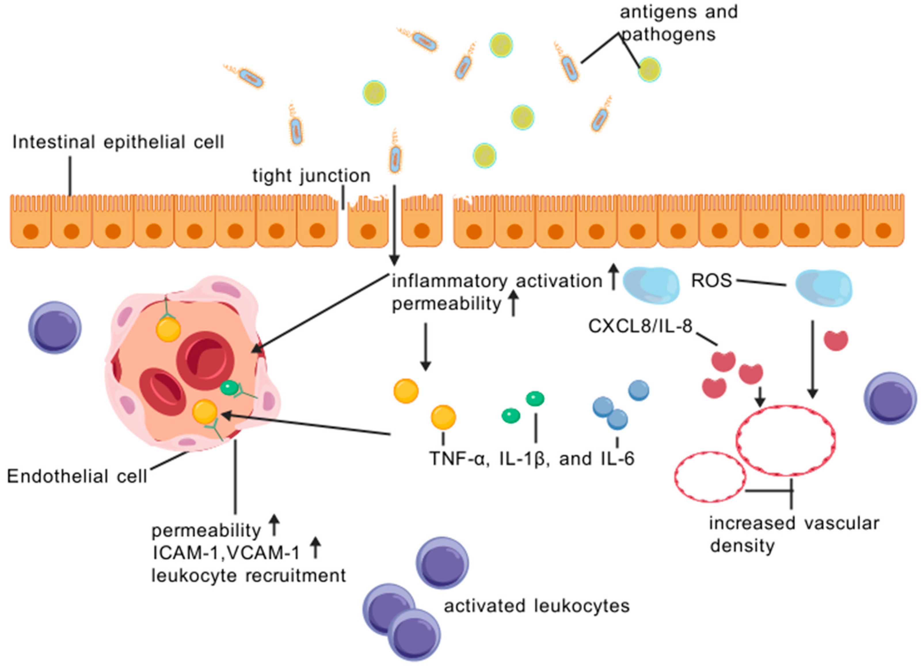 Biomedicines 13 01154 g001