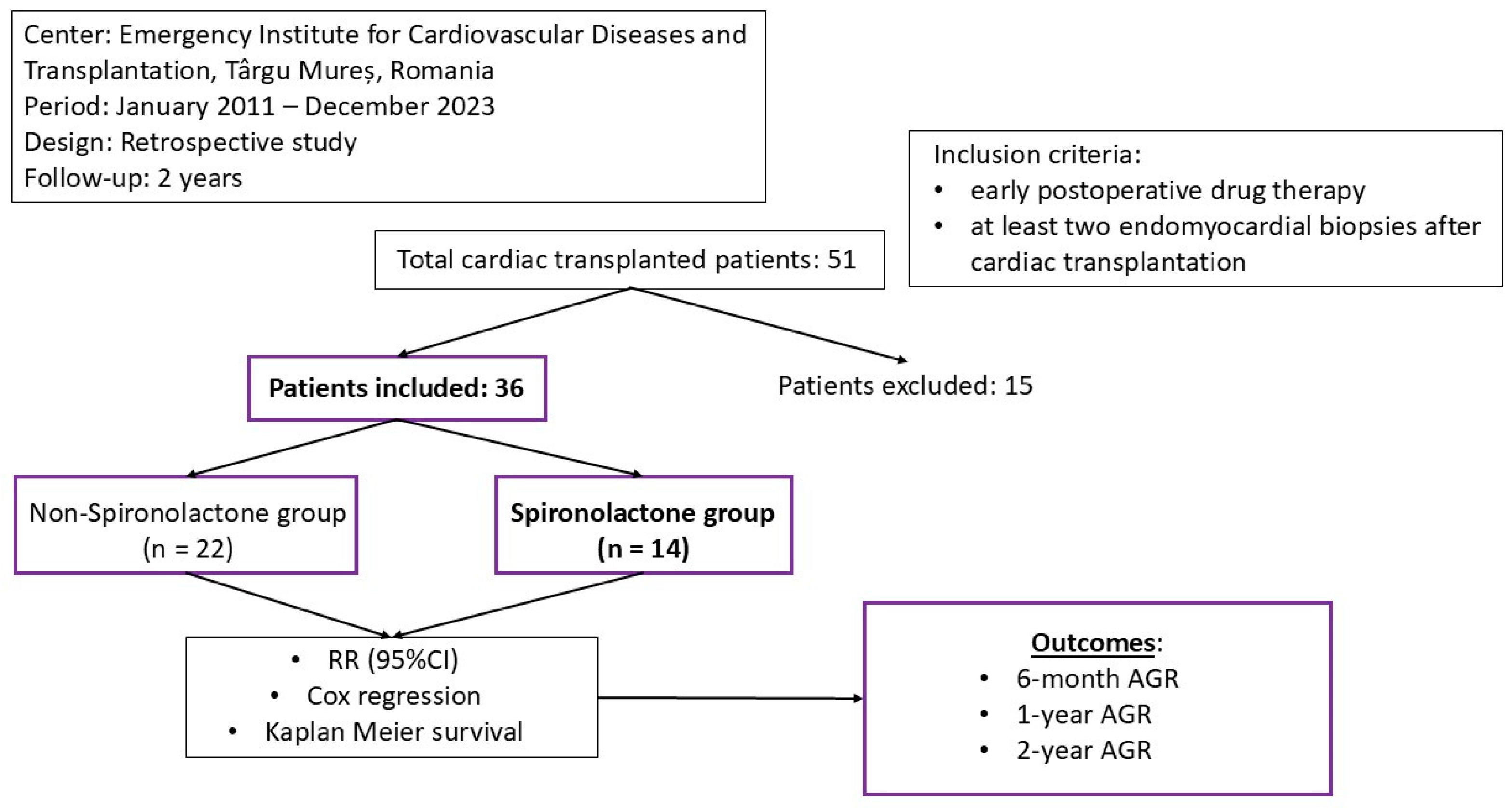 Biomedicines 13 01164 g001