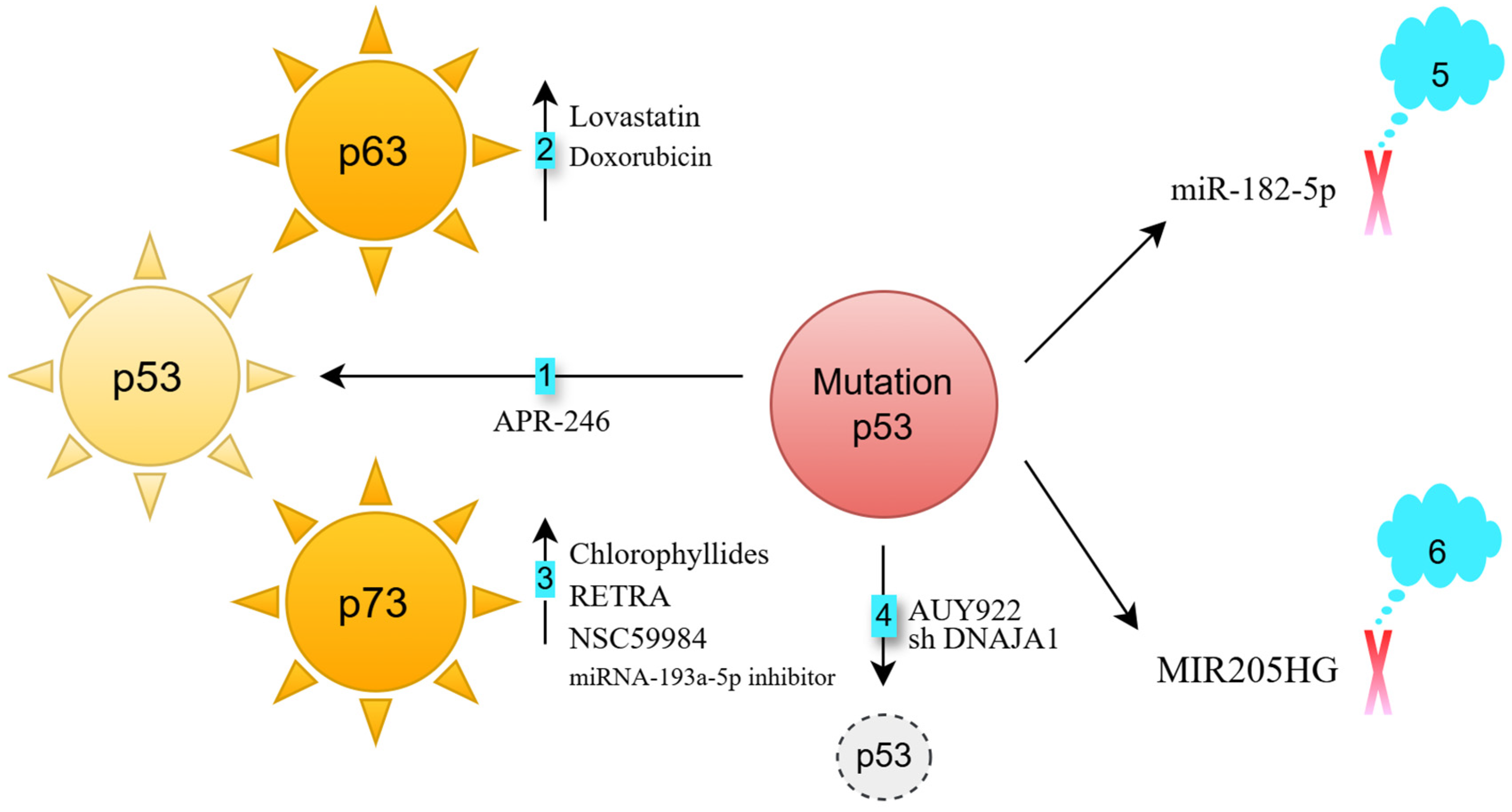 Biomedicines 13 01165 g002