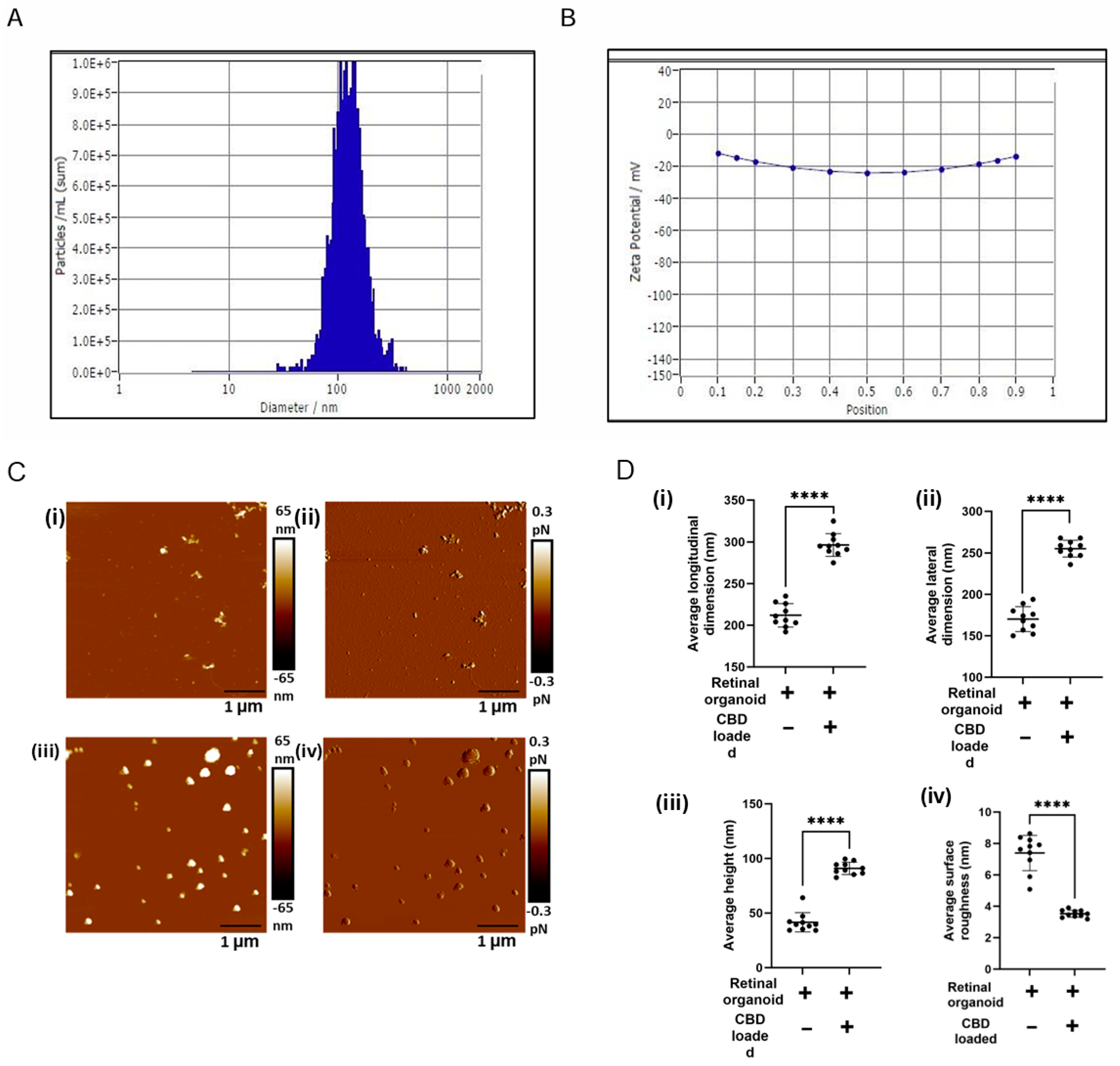 Biomedicines 13 01167 g003