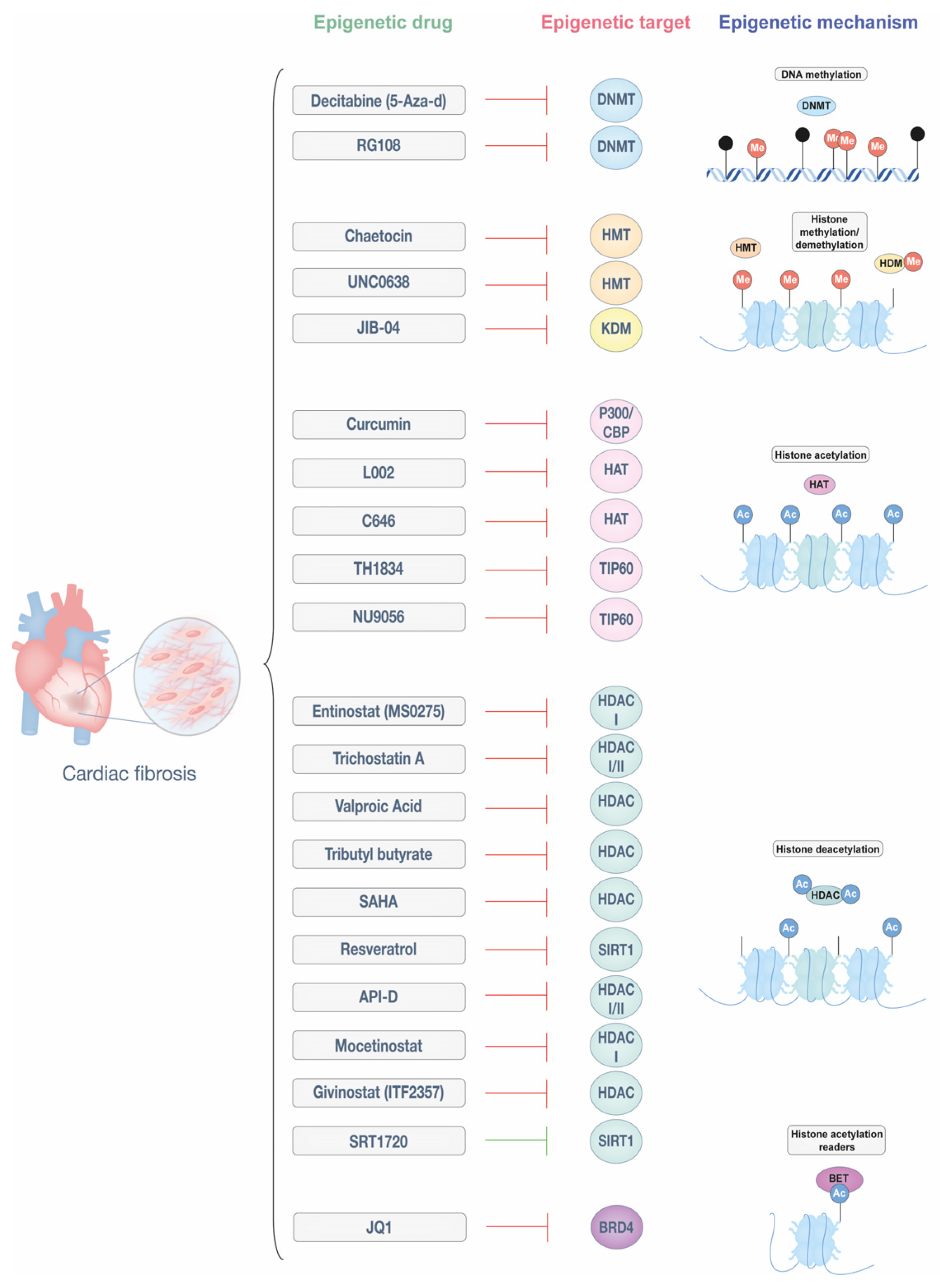 Biomedicines 13 01170 g002