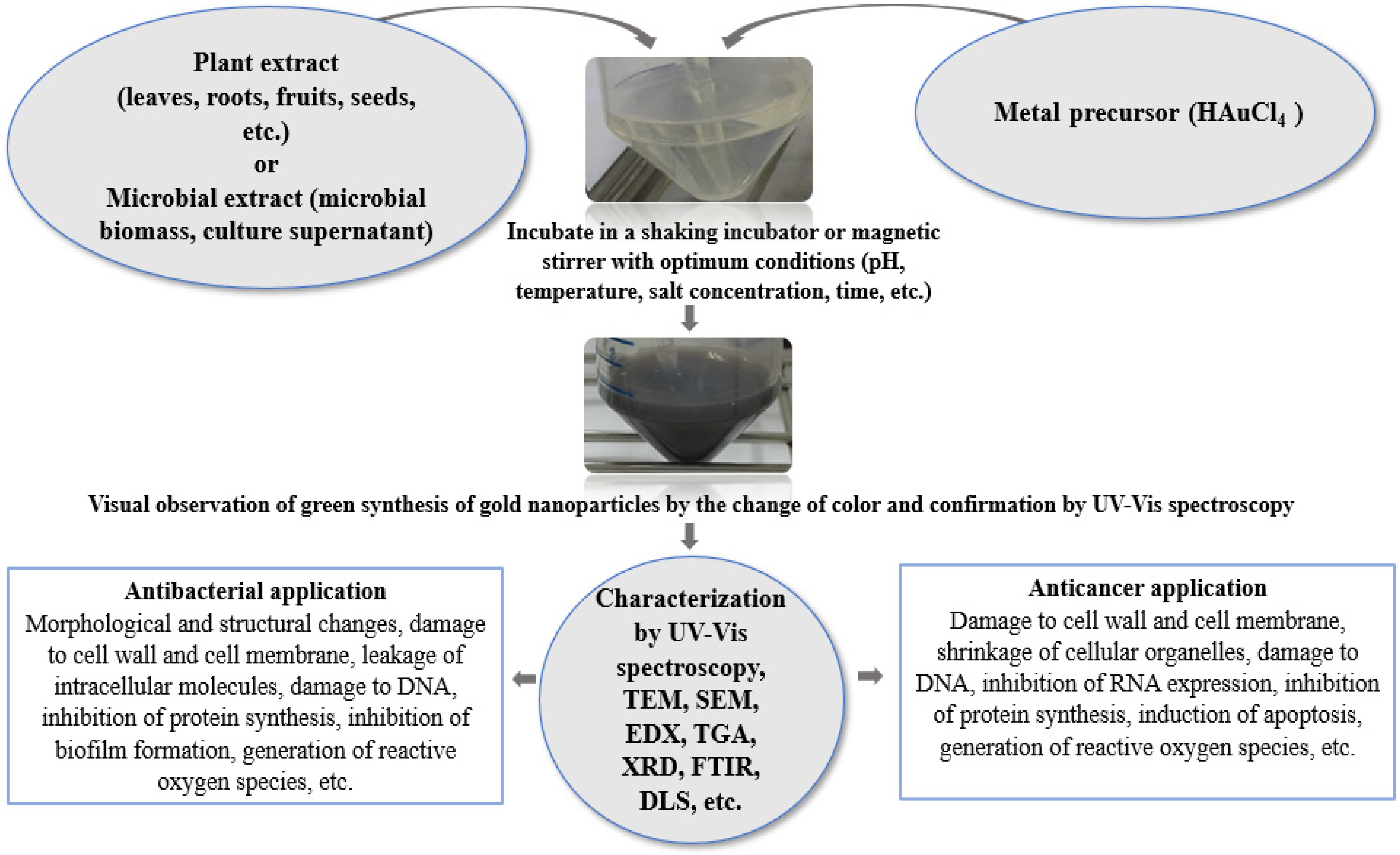 Biomedicines 13 01184 g001
