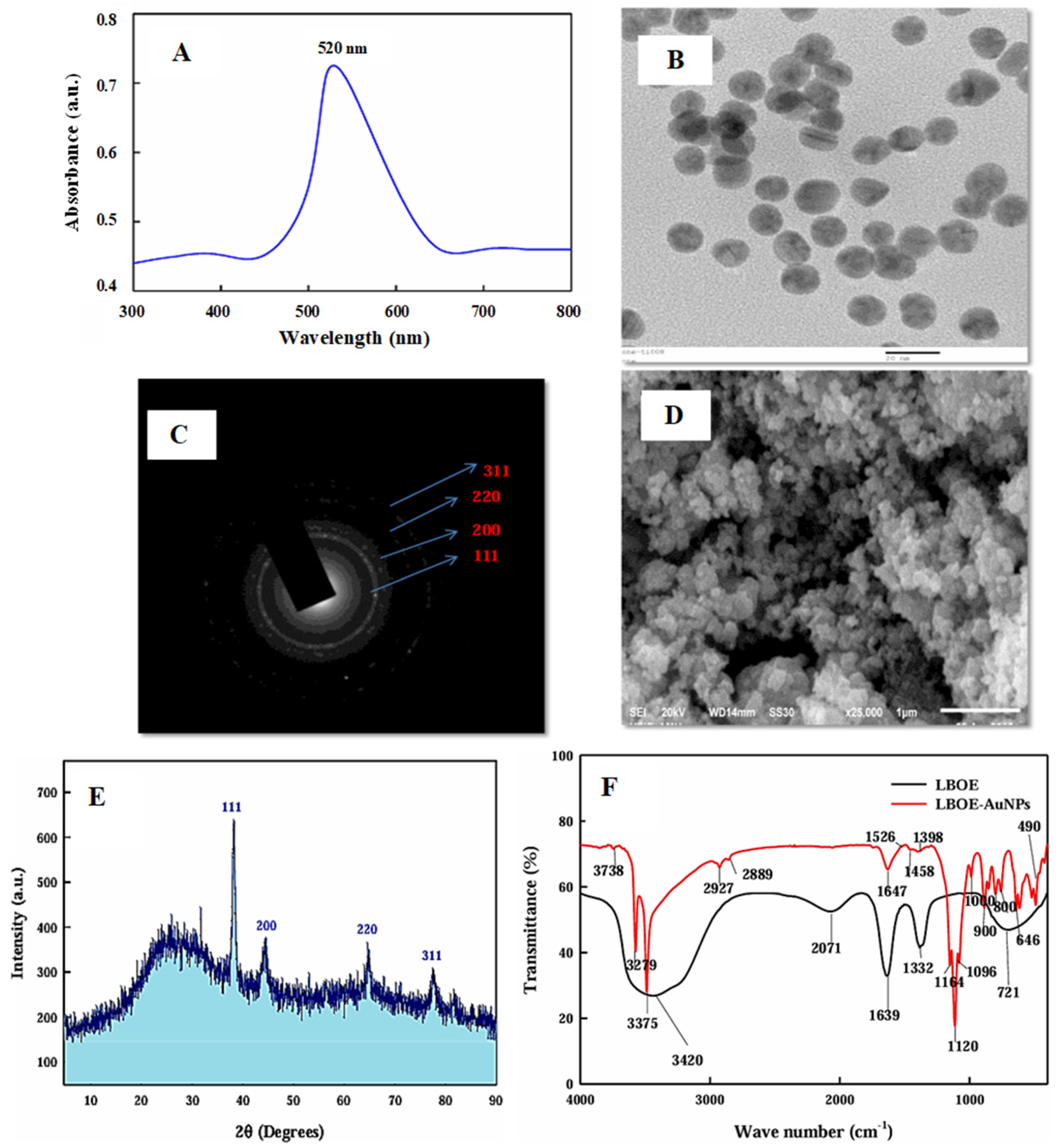 Biomedicines 13 01184 g002