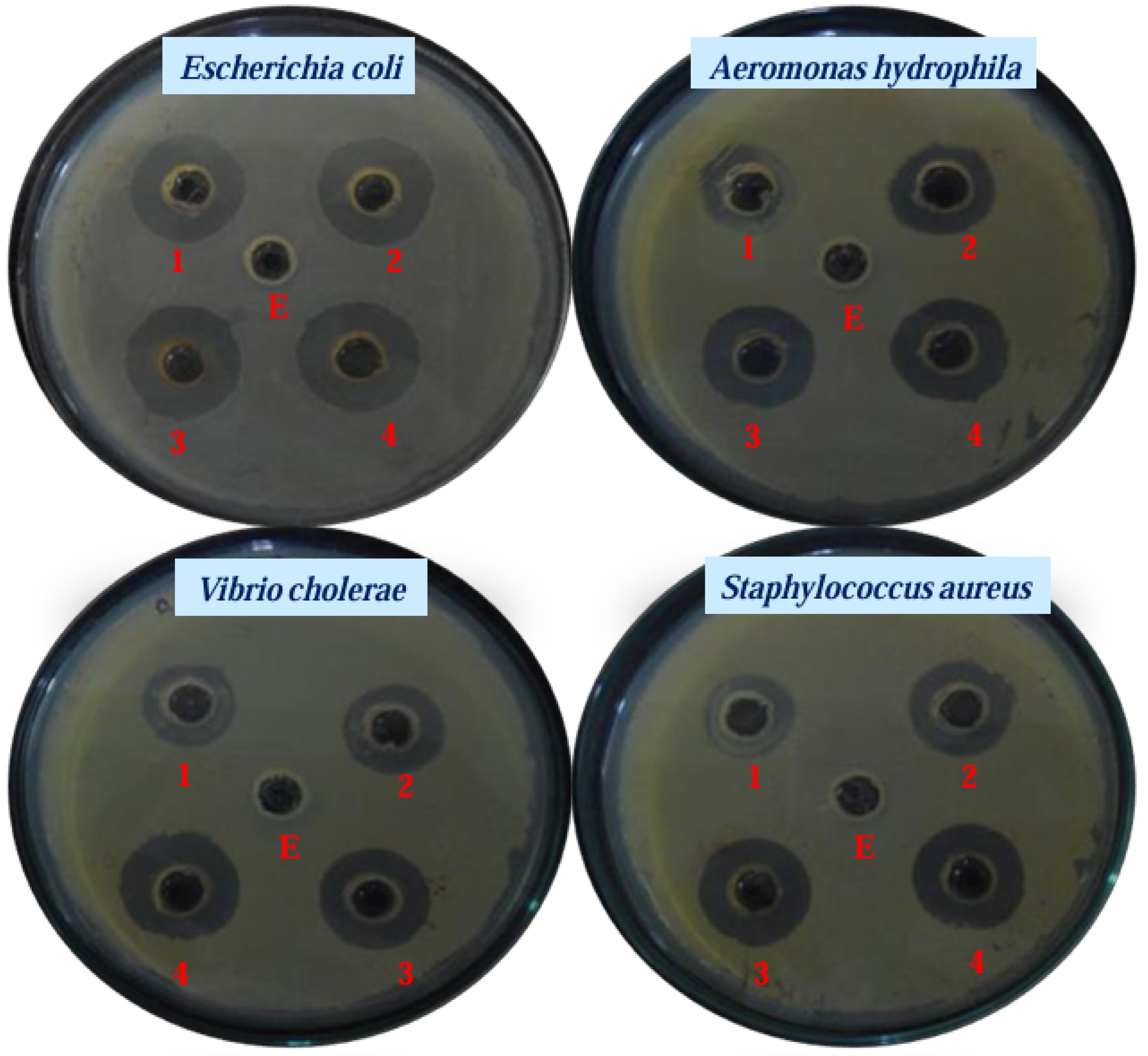 Biomedicines 13 01184 g004
