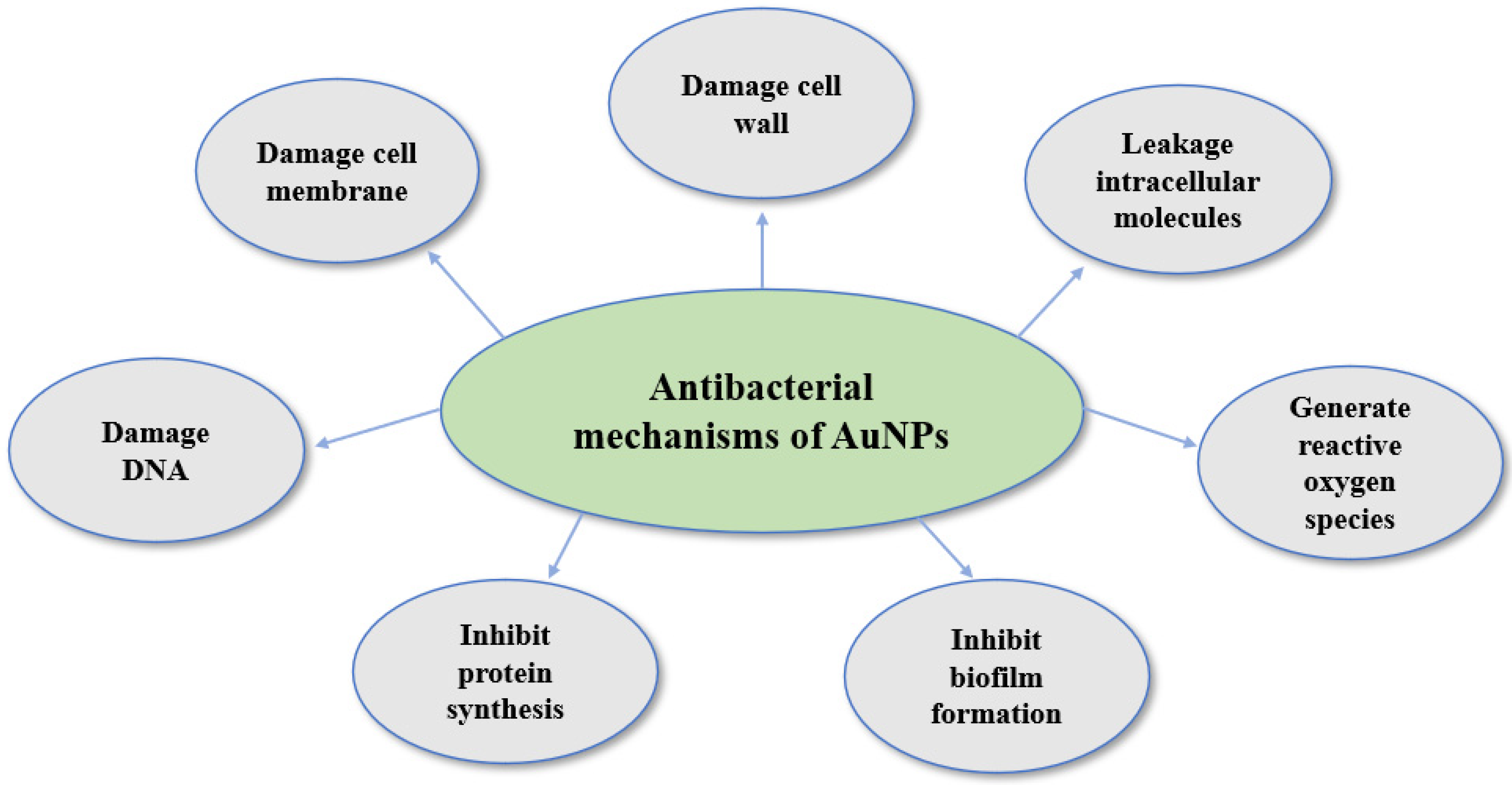 Biomedicines 13 01184 g005