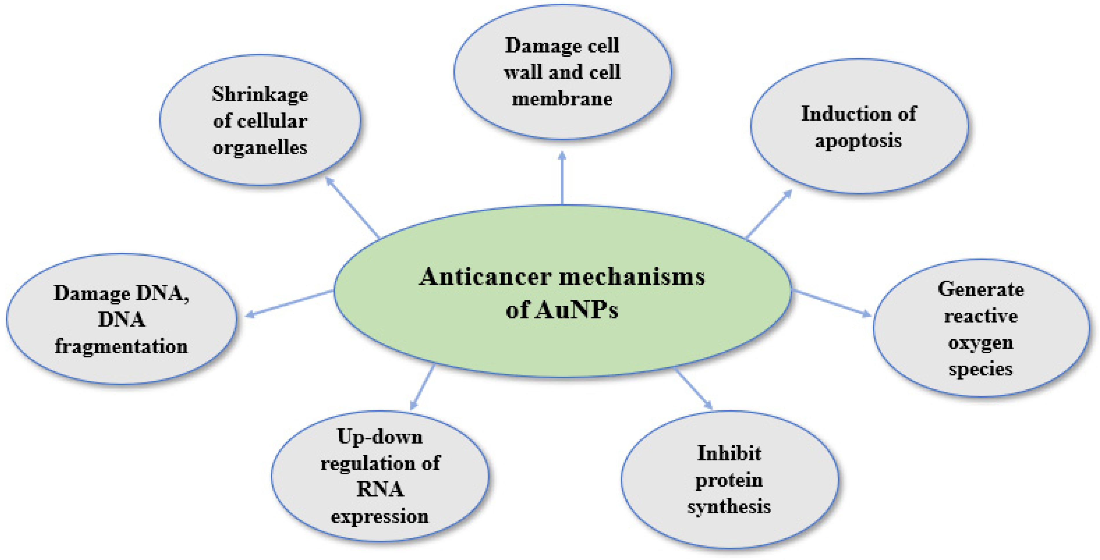 Biomedicines 13 01184 g007
