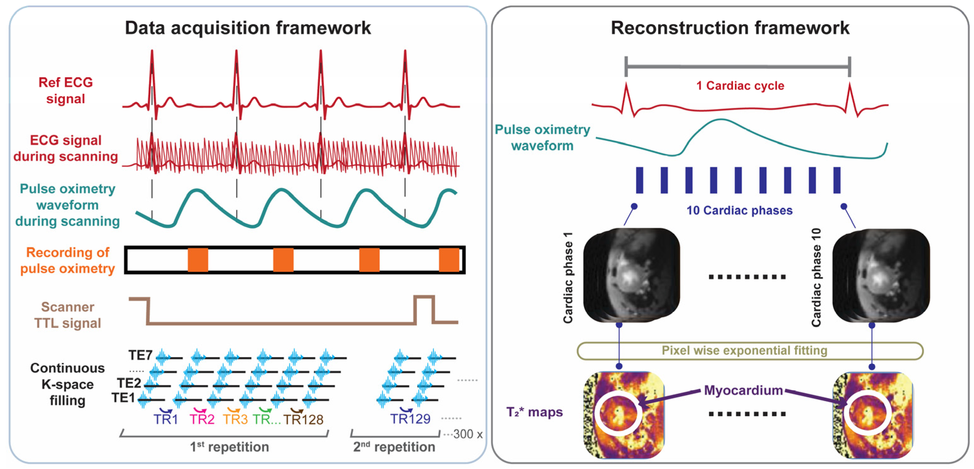 Biomedicines 13 01193 g001
