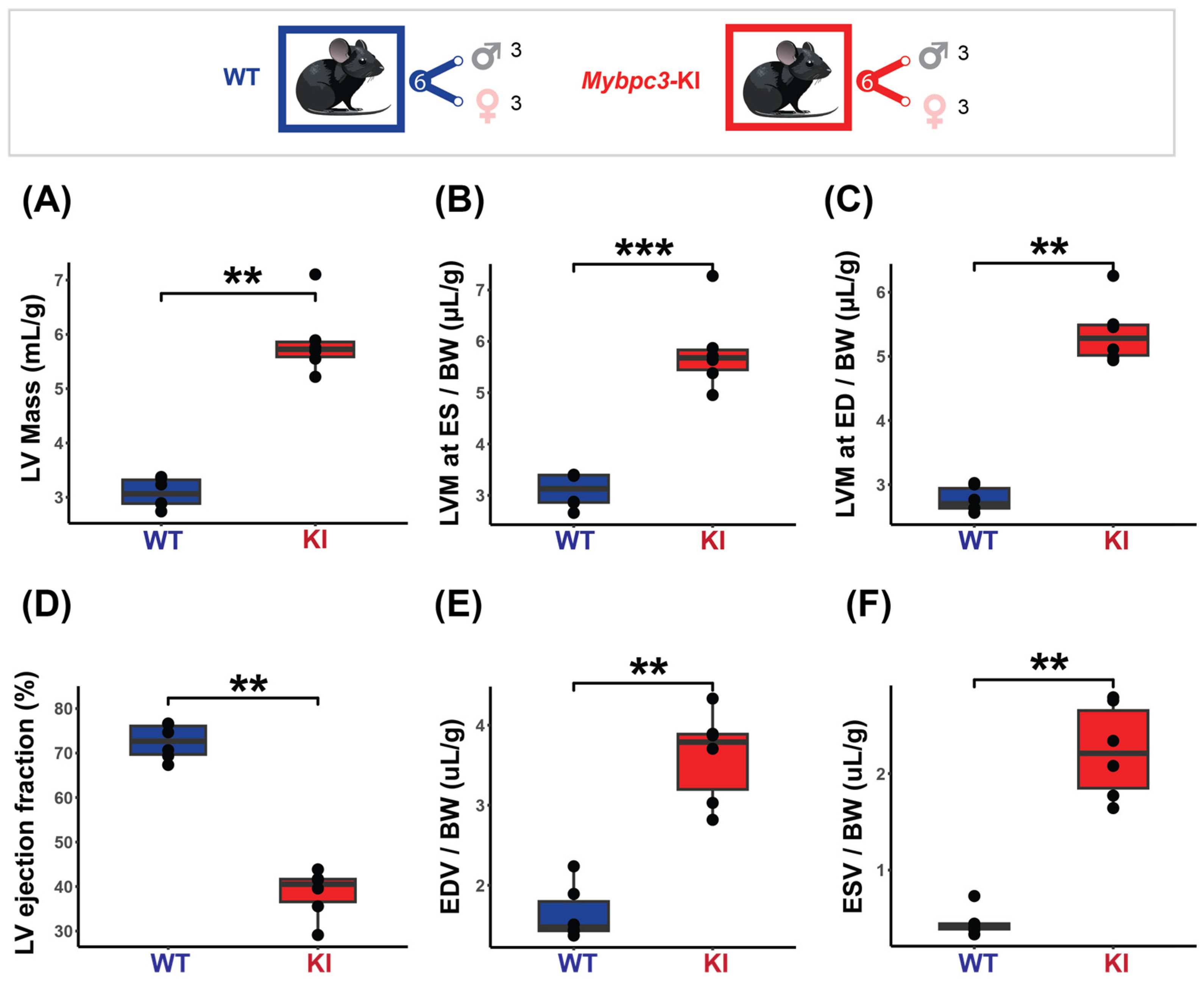 Biomedicines 13 01193 g004