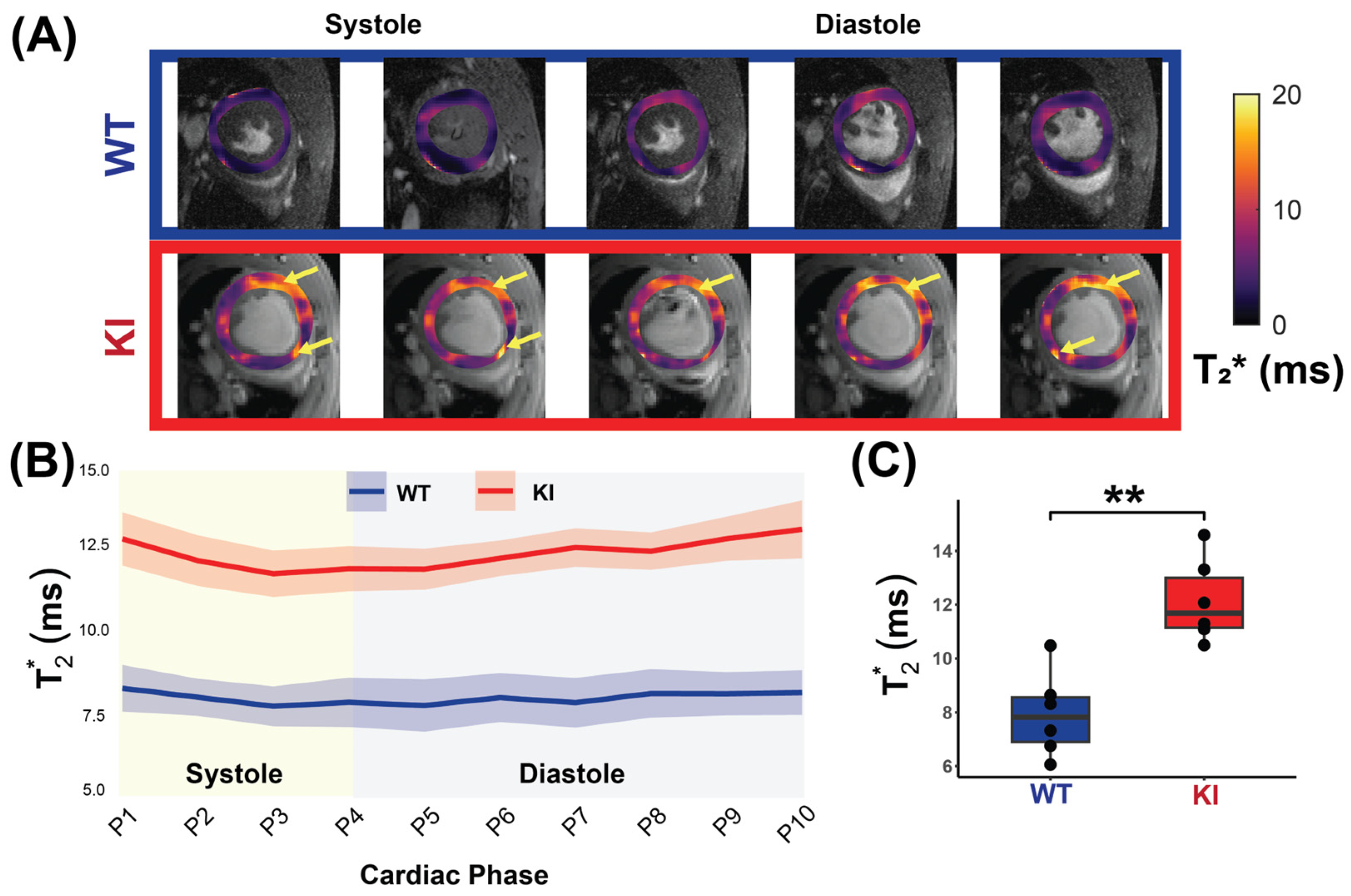 Biomedicines 13 01193 g005