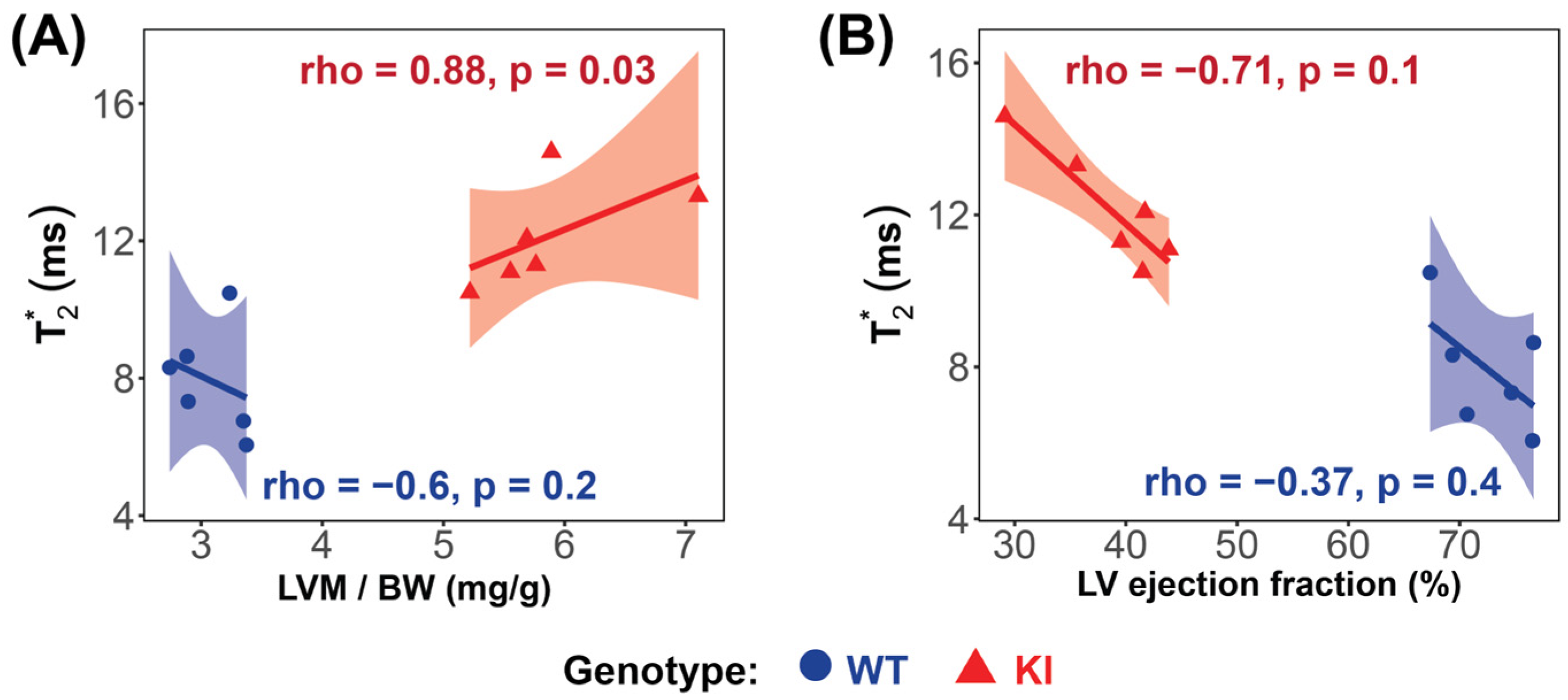 Biomedicines 13 01193 g006